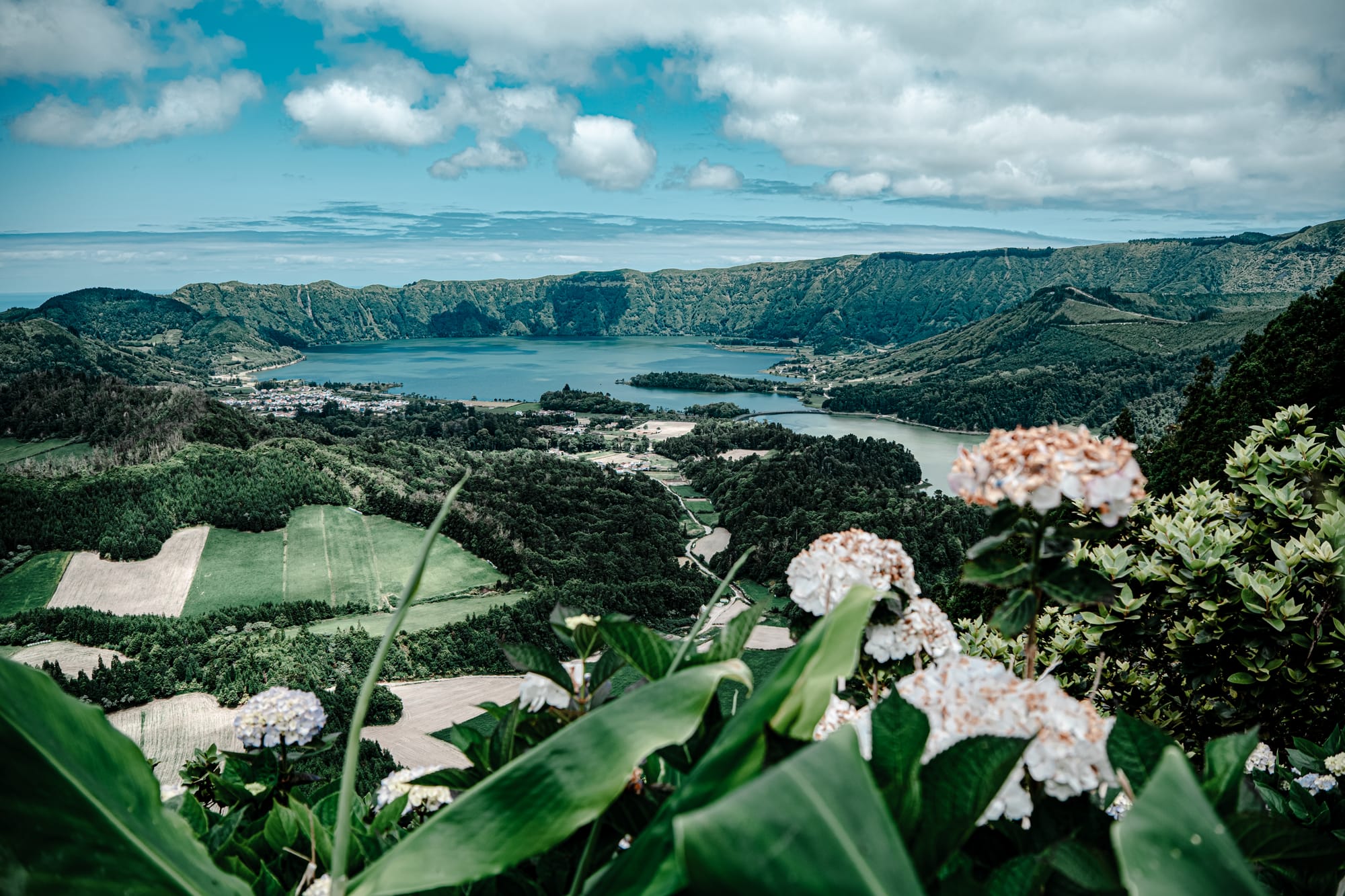 Expansive view of Sete Cidades with green fields, forested ridges, and blue-green crater lakes, seen from a high vantage point with hydrangea flowers in the foreground