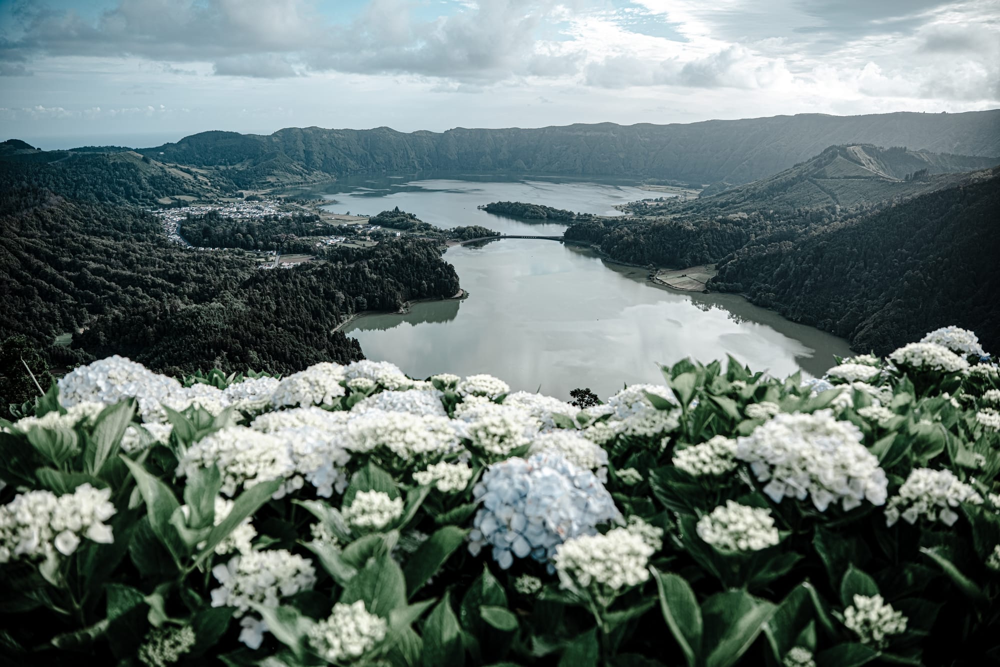 Expansive view from a high vantage point overlooking the twin lakes of Sete Cidades, with lush volcanic cliffs and hydrangeas blooming in the foreground