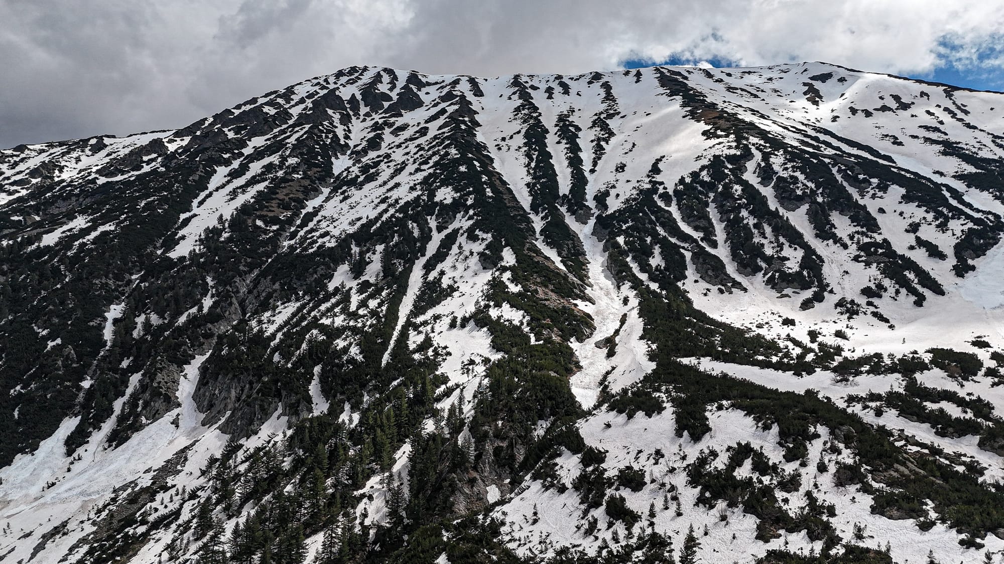Snow-covered slopes of the Pirin Mountains in Bansko, Bulgaria, showing rugged ridges and pine trees dotting the landscape under a cloudy sky