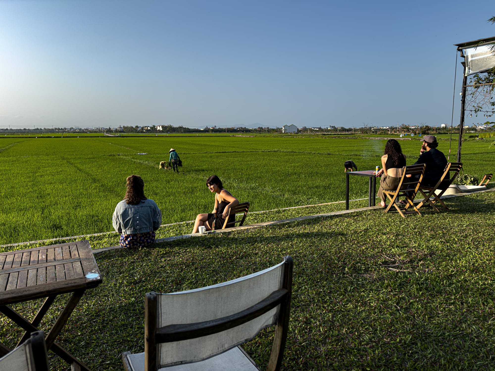 Grass beside Hub Hoi An, a coworking spot for digital nomads in Vietnam, with rice field views