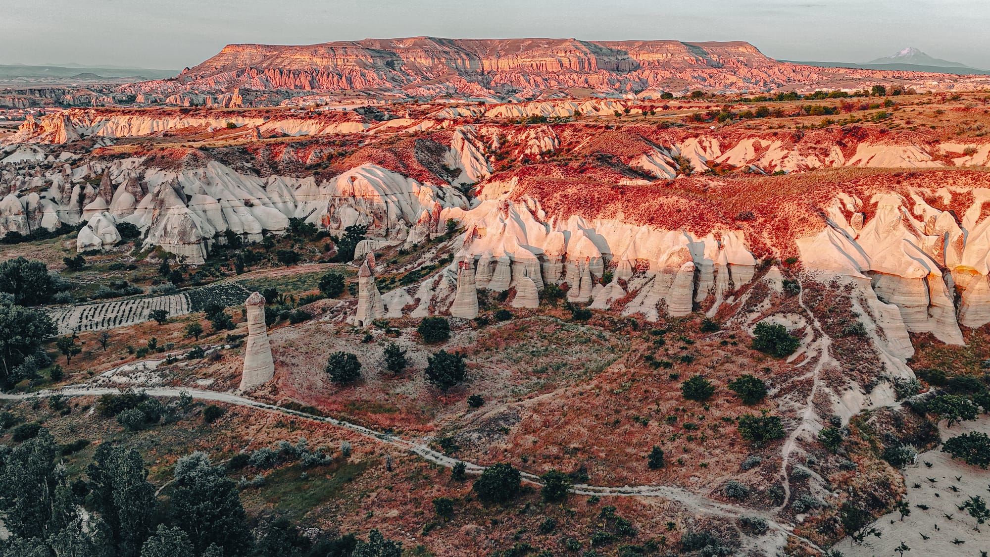 Drone shot of Love Valley in Cappadocia, showing tall fairy chimney rock formations and ridged white tuff cliffs illuminated by golden hour sunlight, with a patchwork of fields, trees, and winding trails in the foreground and distant mountains on the horizon
