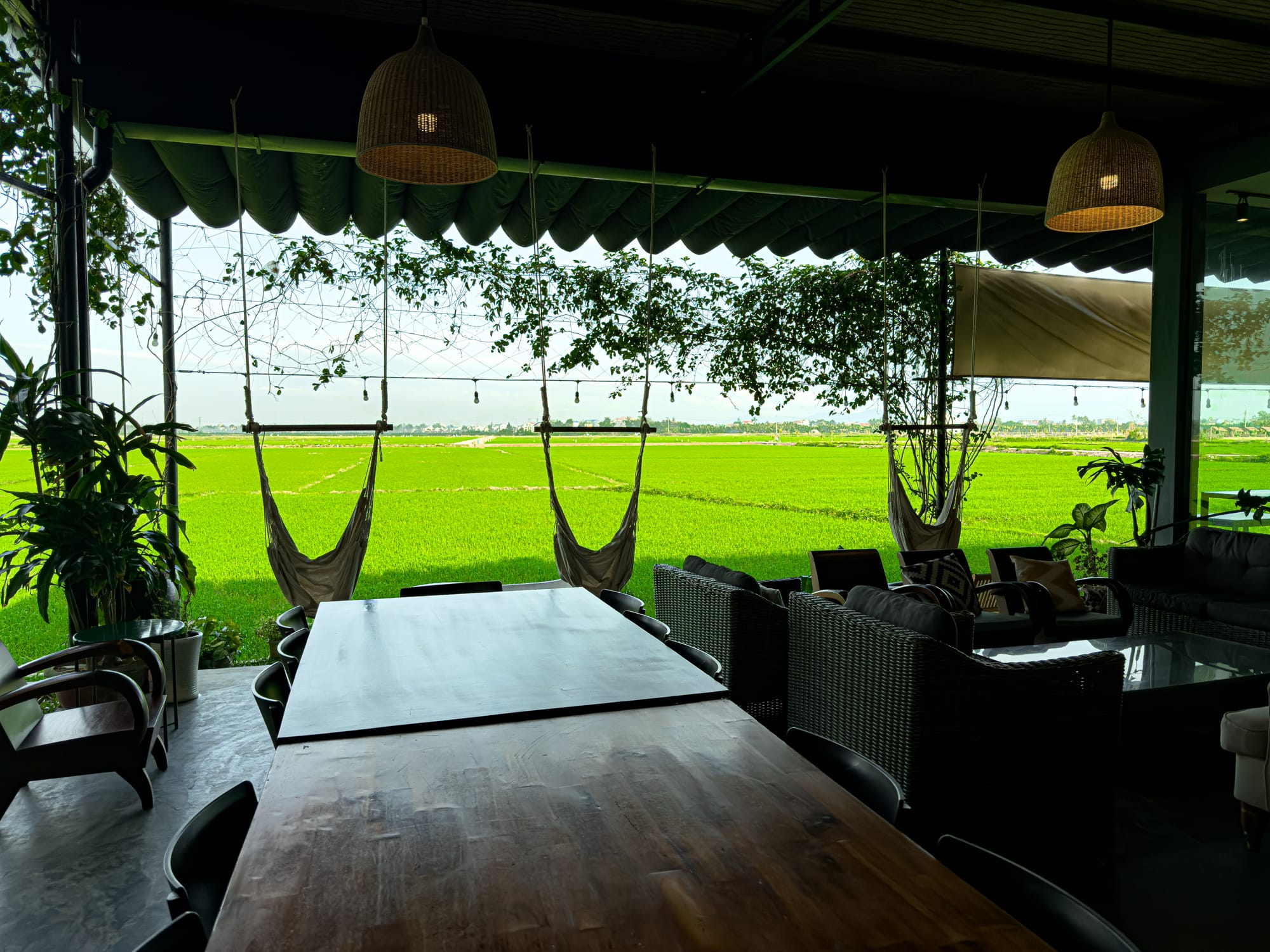 Hub Hoi An overlooking bright green rice fields, offering tranquil views of Vietnam’s countryside