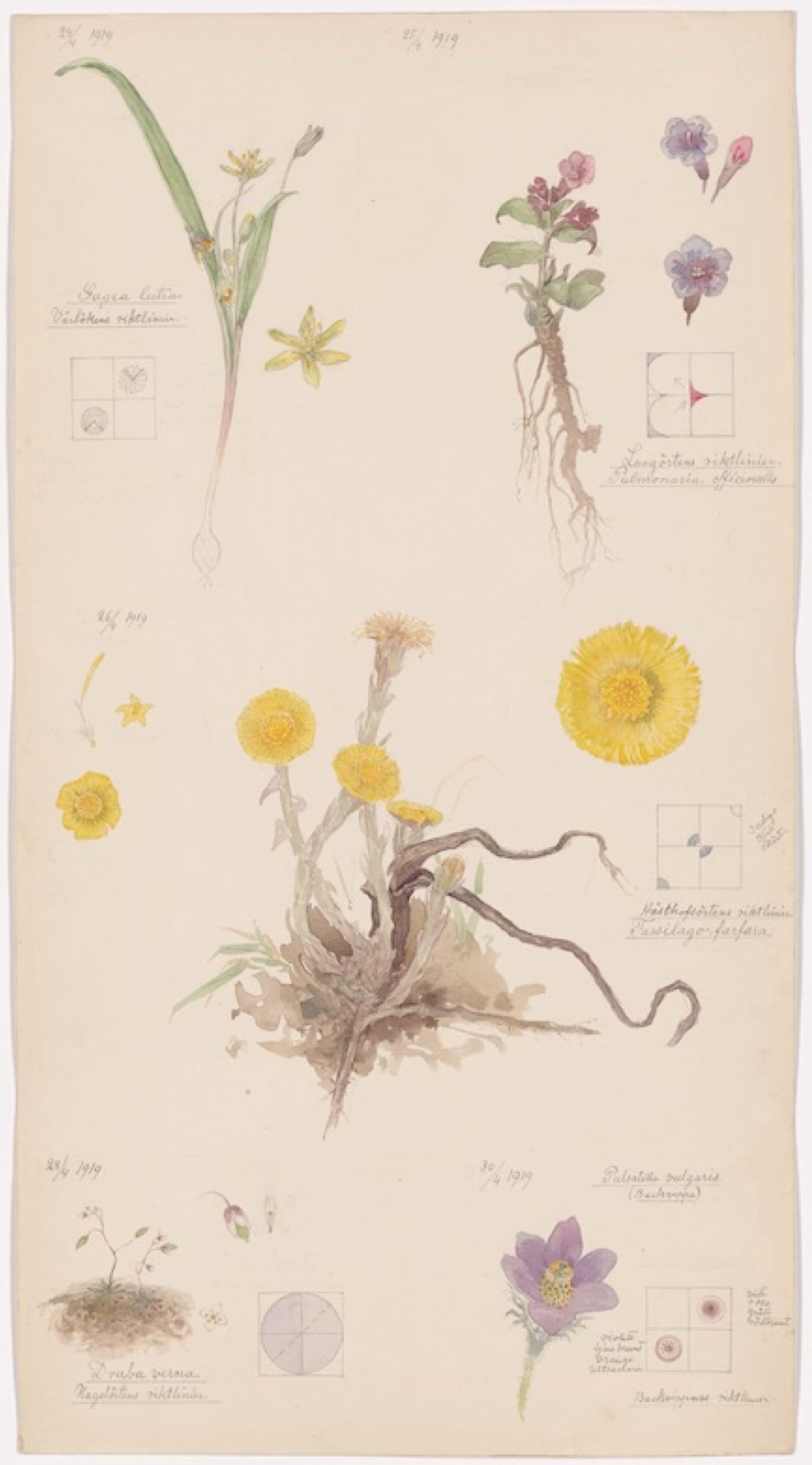 Hilma af Klint