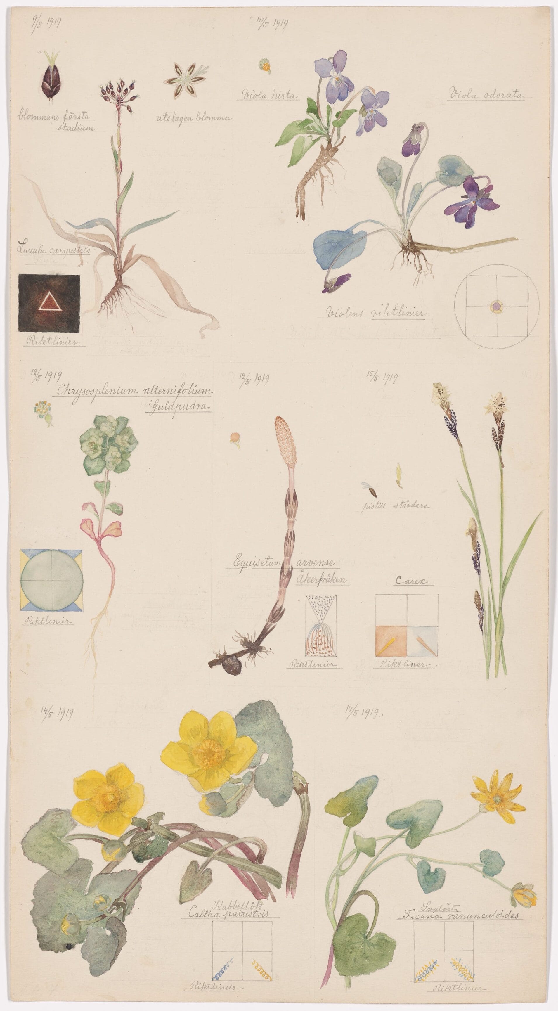 Hilma af Klint