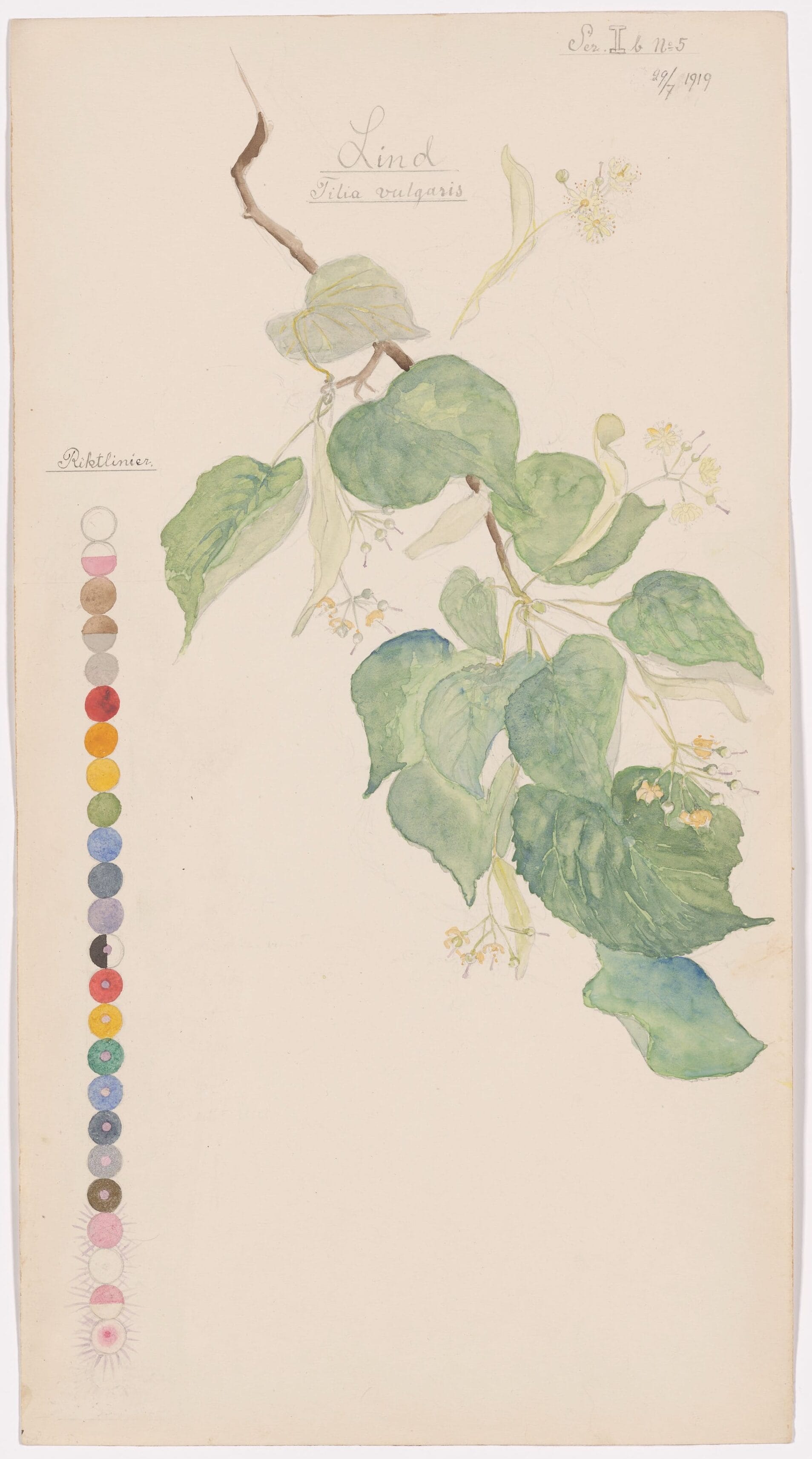 Hilma af Klint