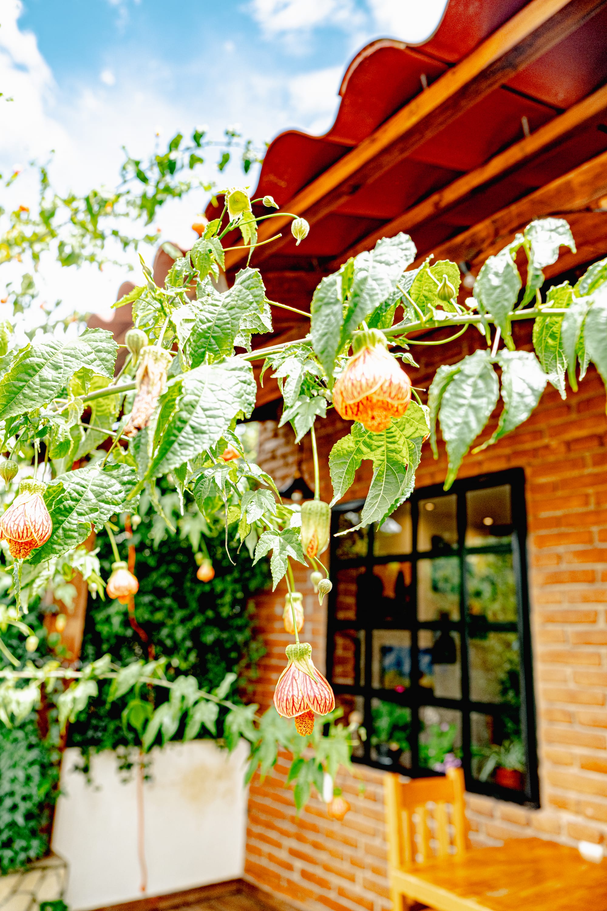 Chamula and Zinacantán: sacred traditions in the highlands of Chiapas