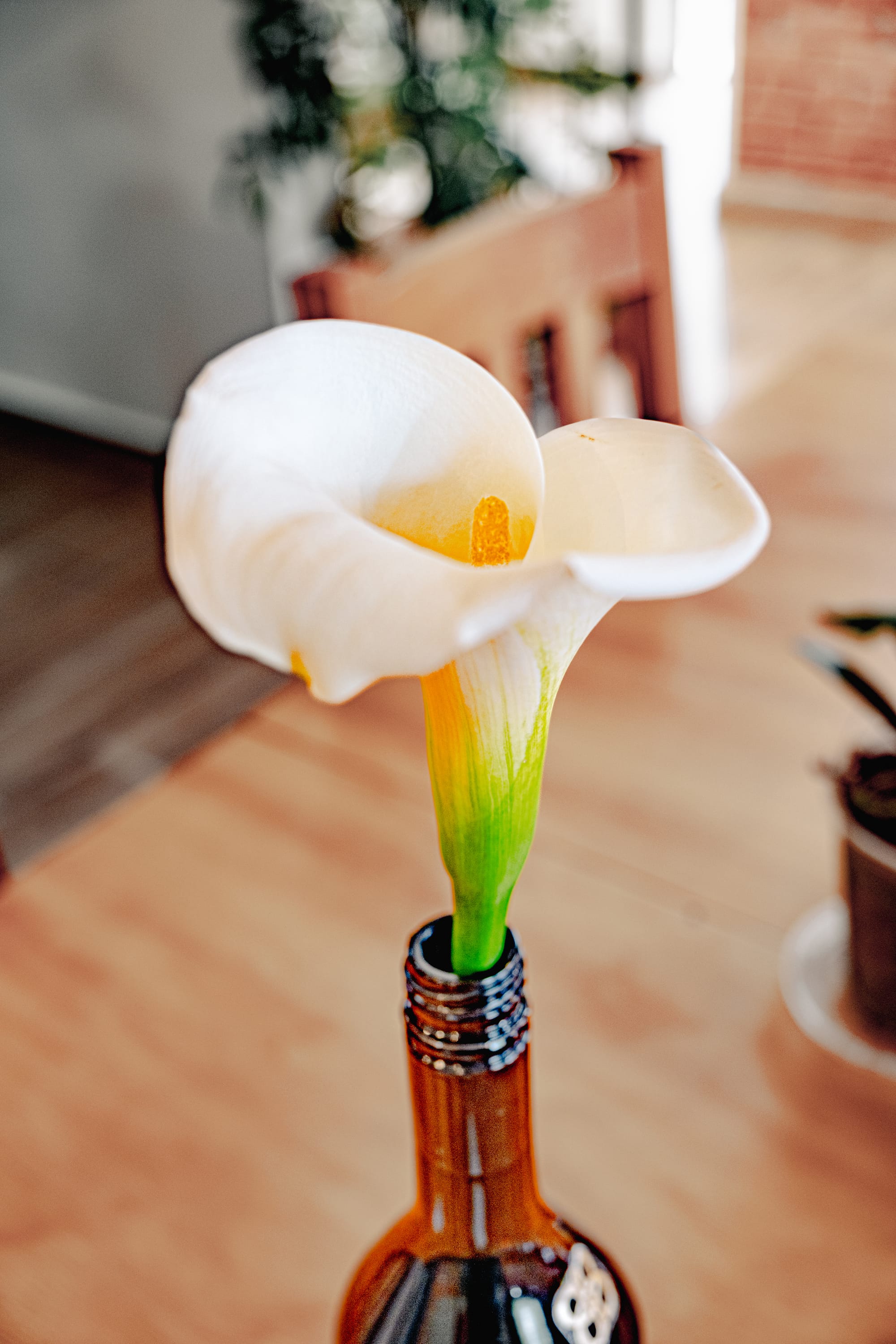 Chamula and Zinacantán: sacred traditions in the highlands of Chiapas