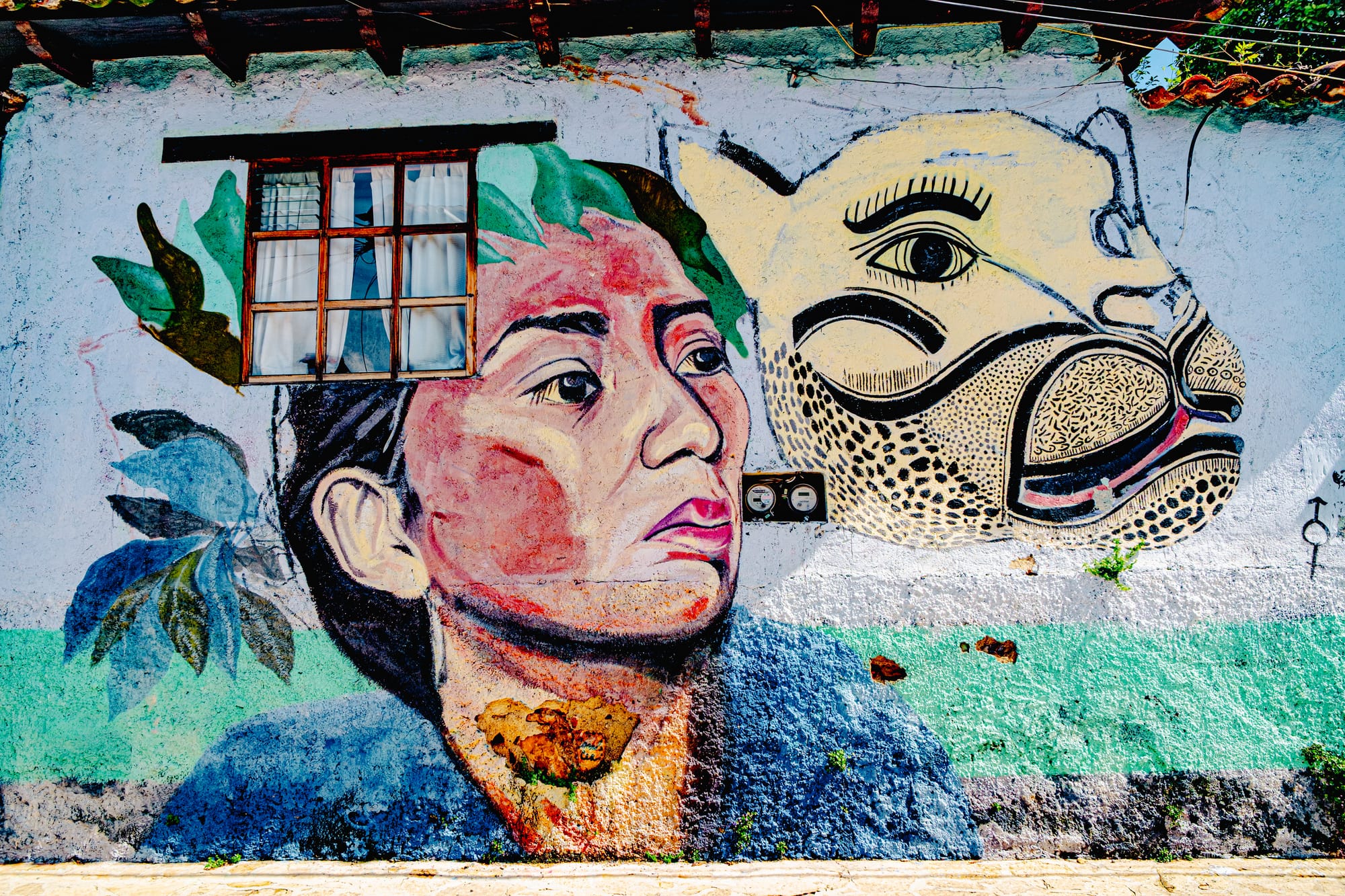 The street art of El Cerillo: murals of resistance and community