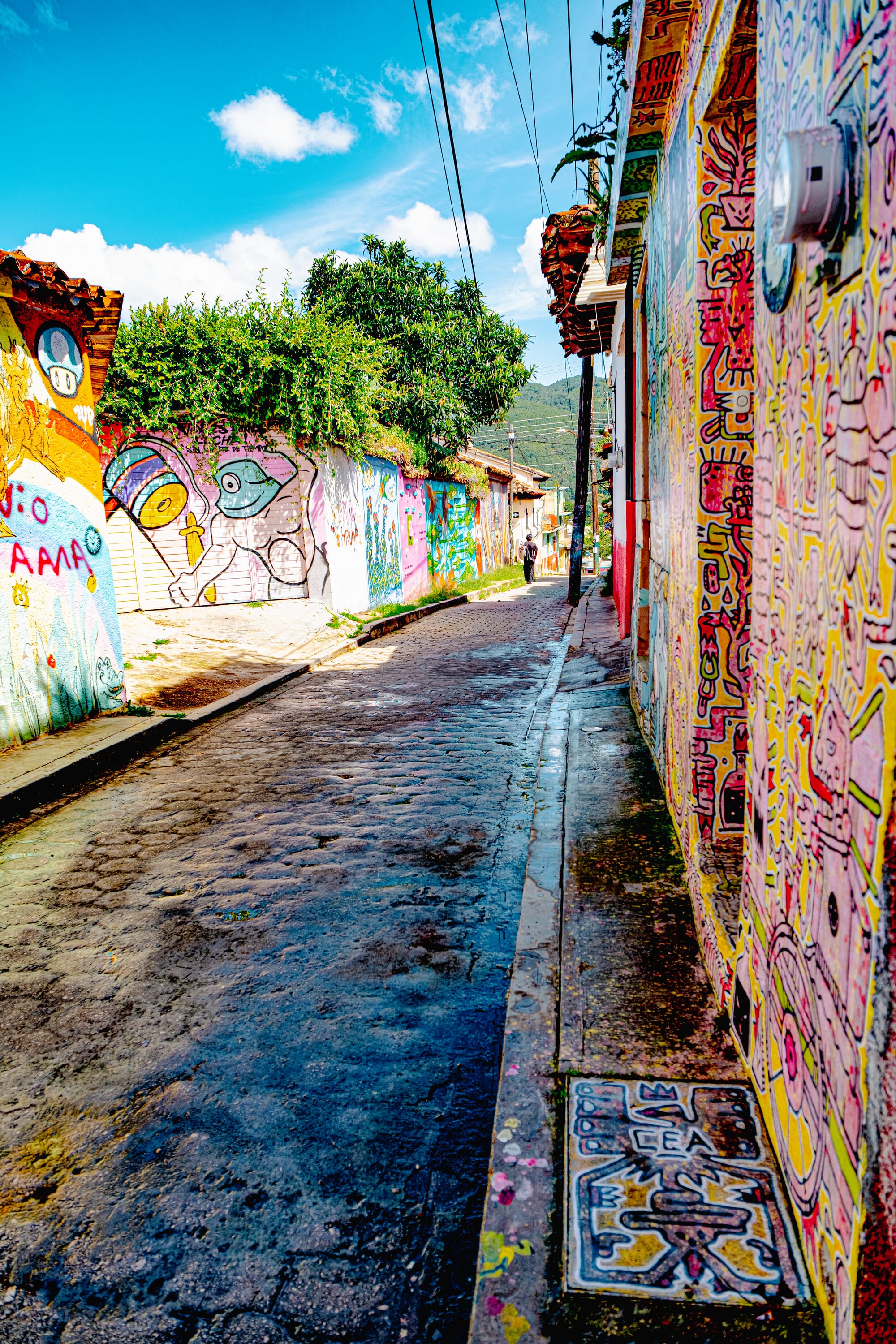 The street art of El Cerillo: murals of resistance and community