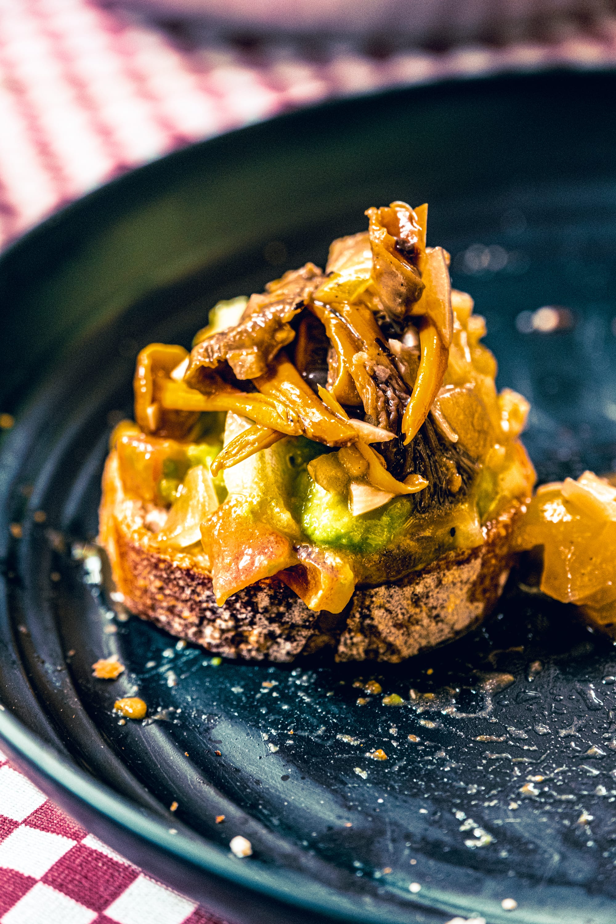 A fungi hike in the highland forests of San Cristóbal de las Casas