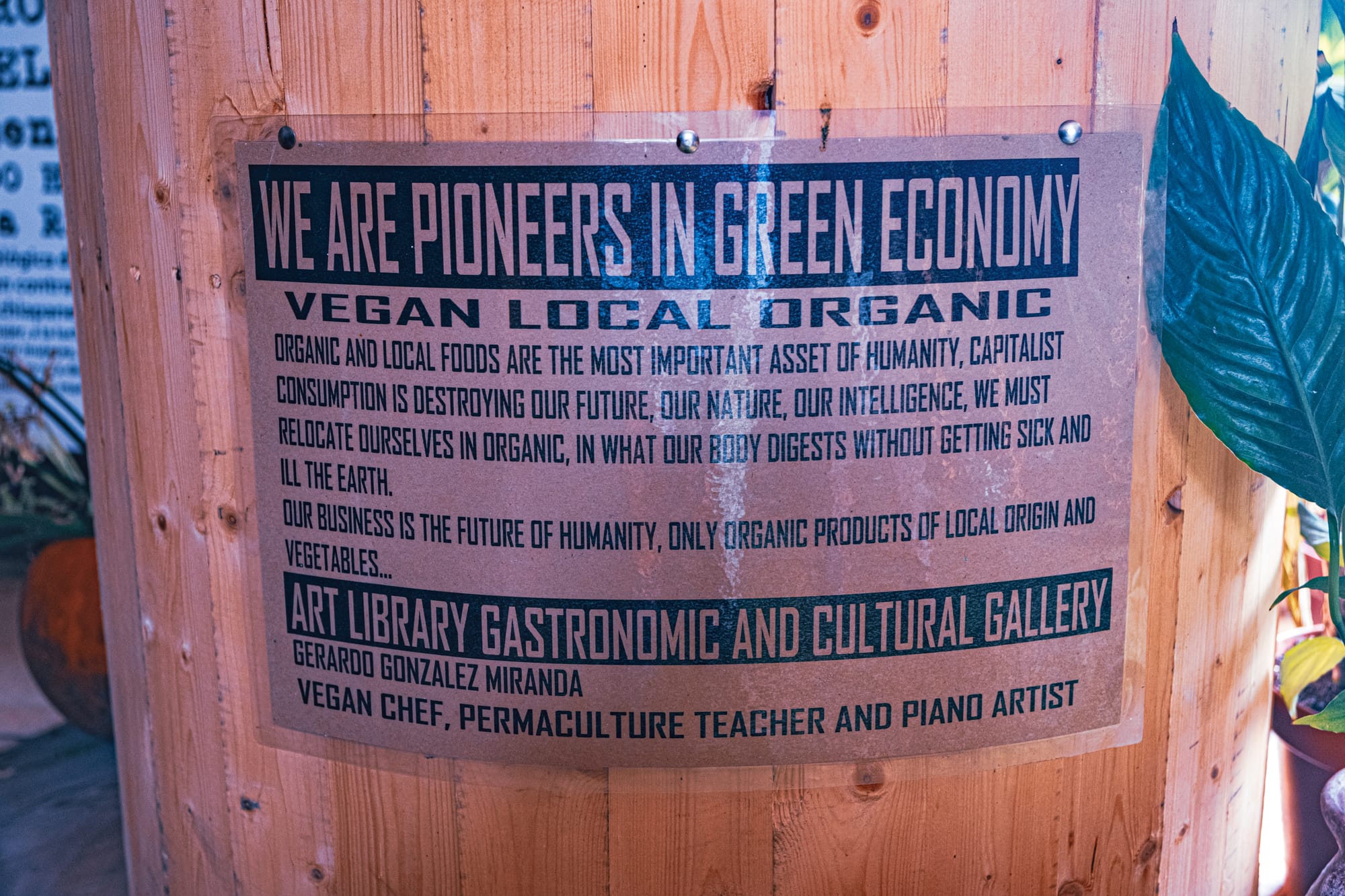 A poster at Art Libreria in San Cristóbal de las Casas describing its vegan, local, and organic food philosophy and commitment to ecological sustainability