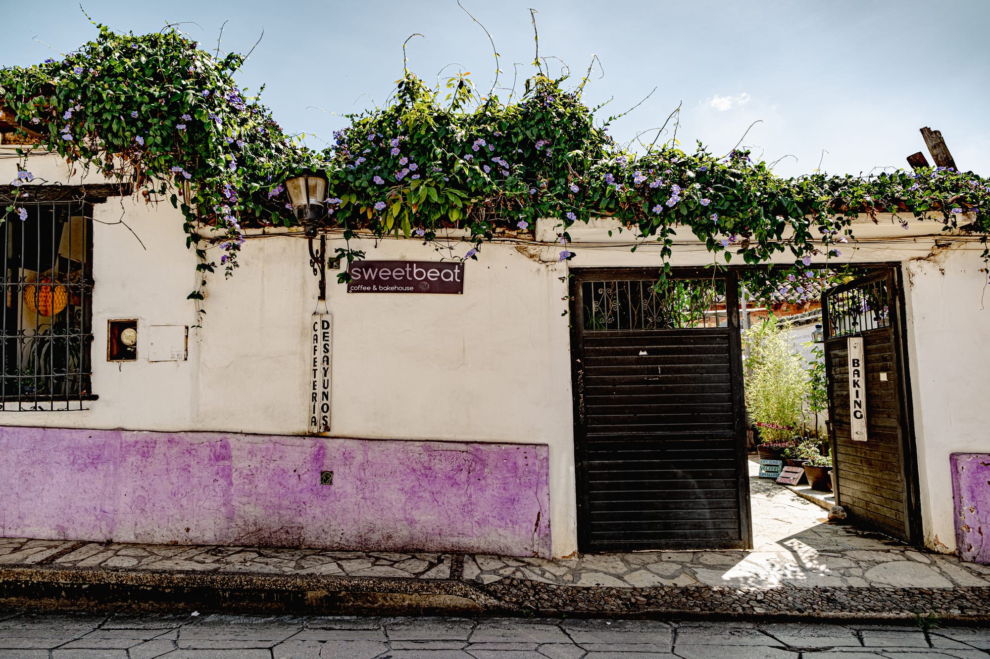 he exterior of Sweetbeat coffee and bakehouse in San Cristóbal de las Casas, with purple flowers cascading over a white wall and an open gate leading into the café
