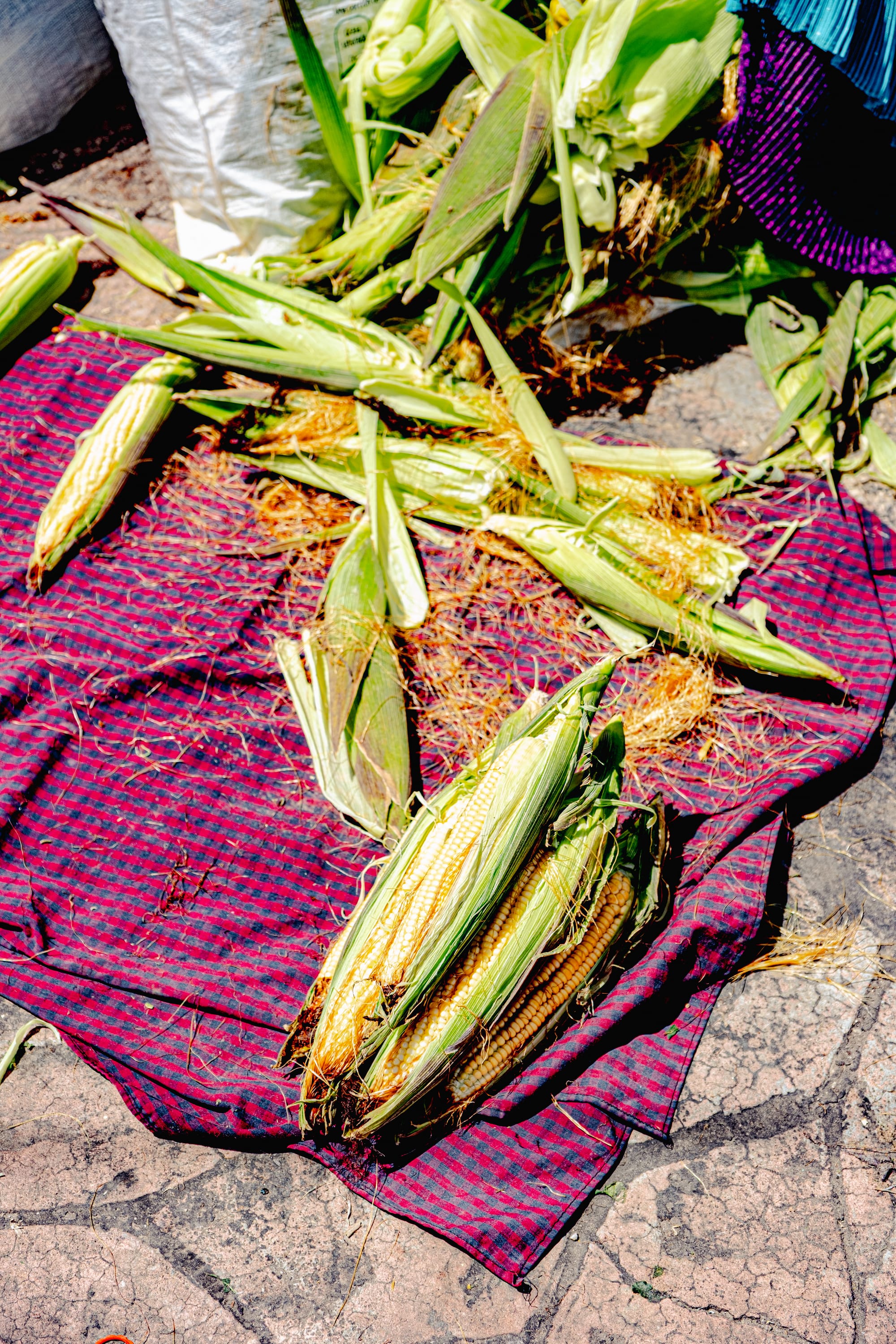 Santo Domingo Market: color, flavor, and daily life in San Cristóbal de las Casas