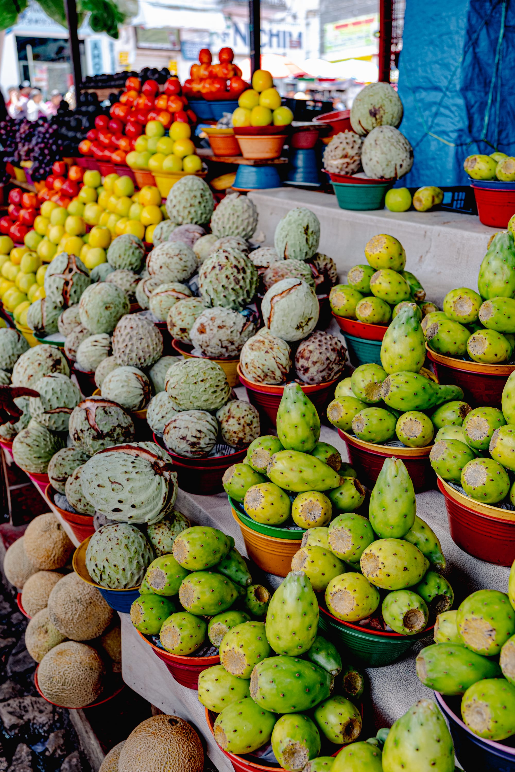 Santo Domingo Market: color, flavor, and daily life in San Cristóbal de las Casas