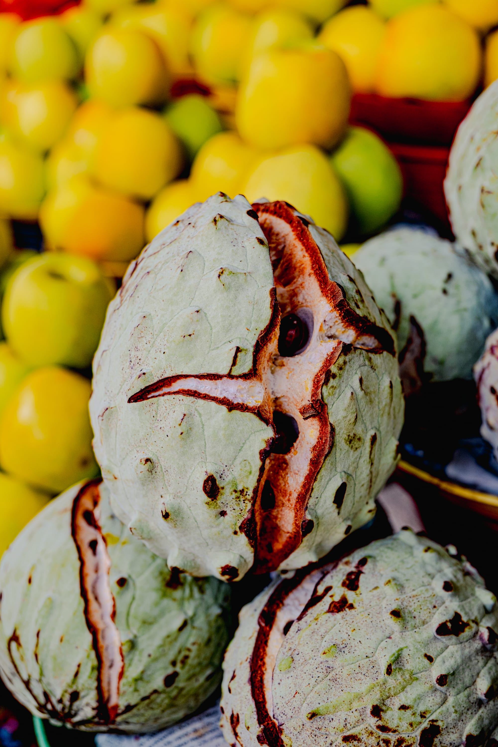 Santo Domingo Market: color, flavor, and daily life in San Cristóbal de las Casas