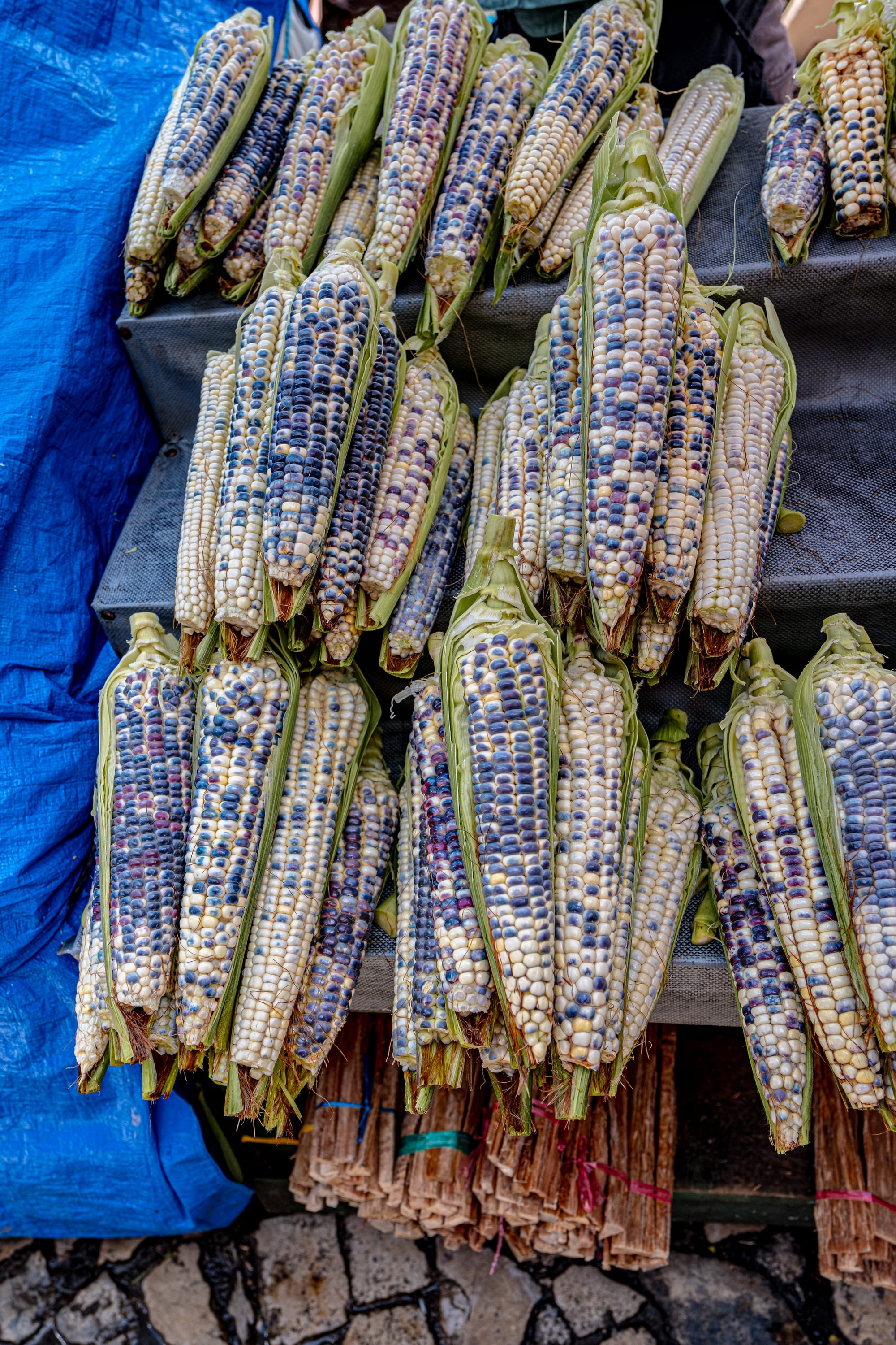 Santo Domingo Market: color, flavor, and daily life in San Cristóbal de las Casas