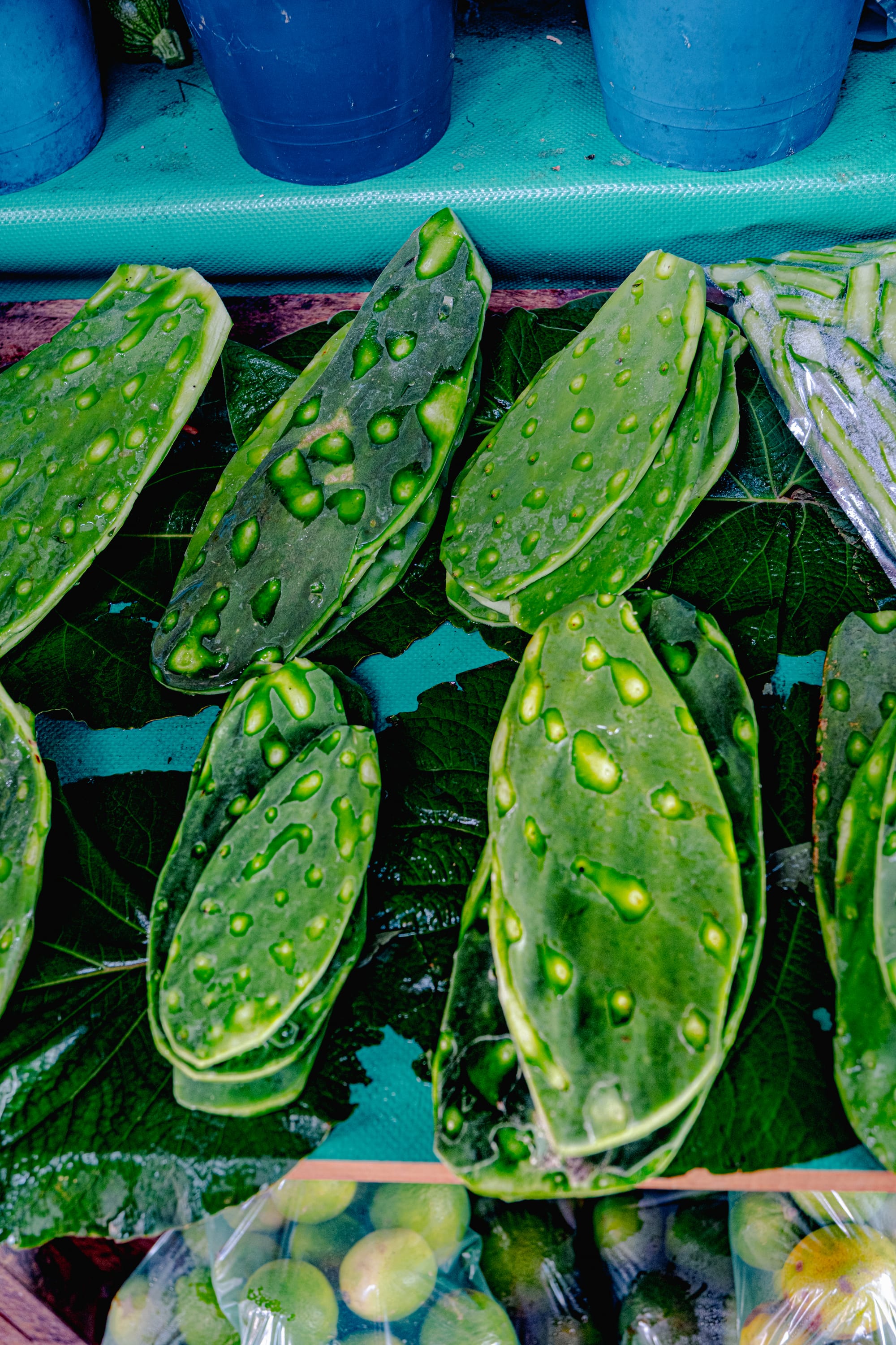 Santo Domingo Market: color, flavor, and daily life in San Cristóbal de las Casas