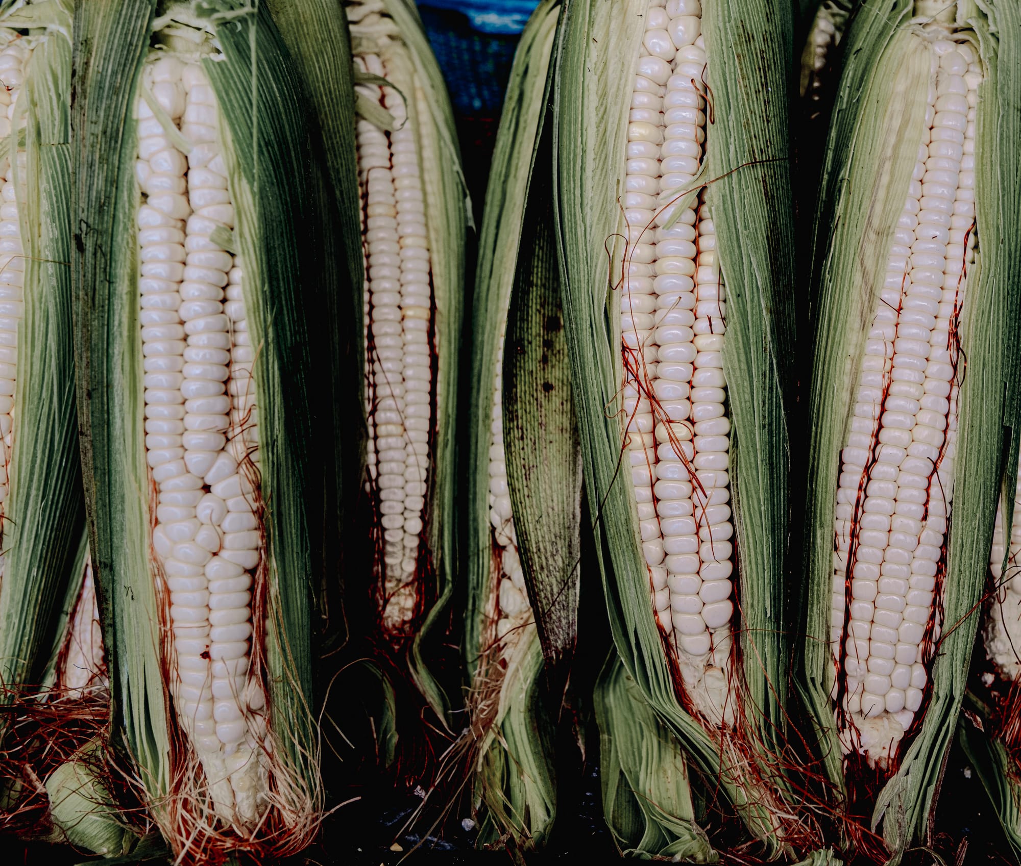 Santo Domingo Market: color, flavor, and daily life in San Cristóbal de las Casas