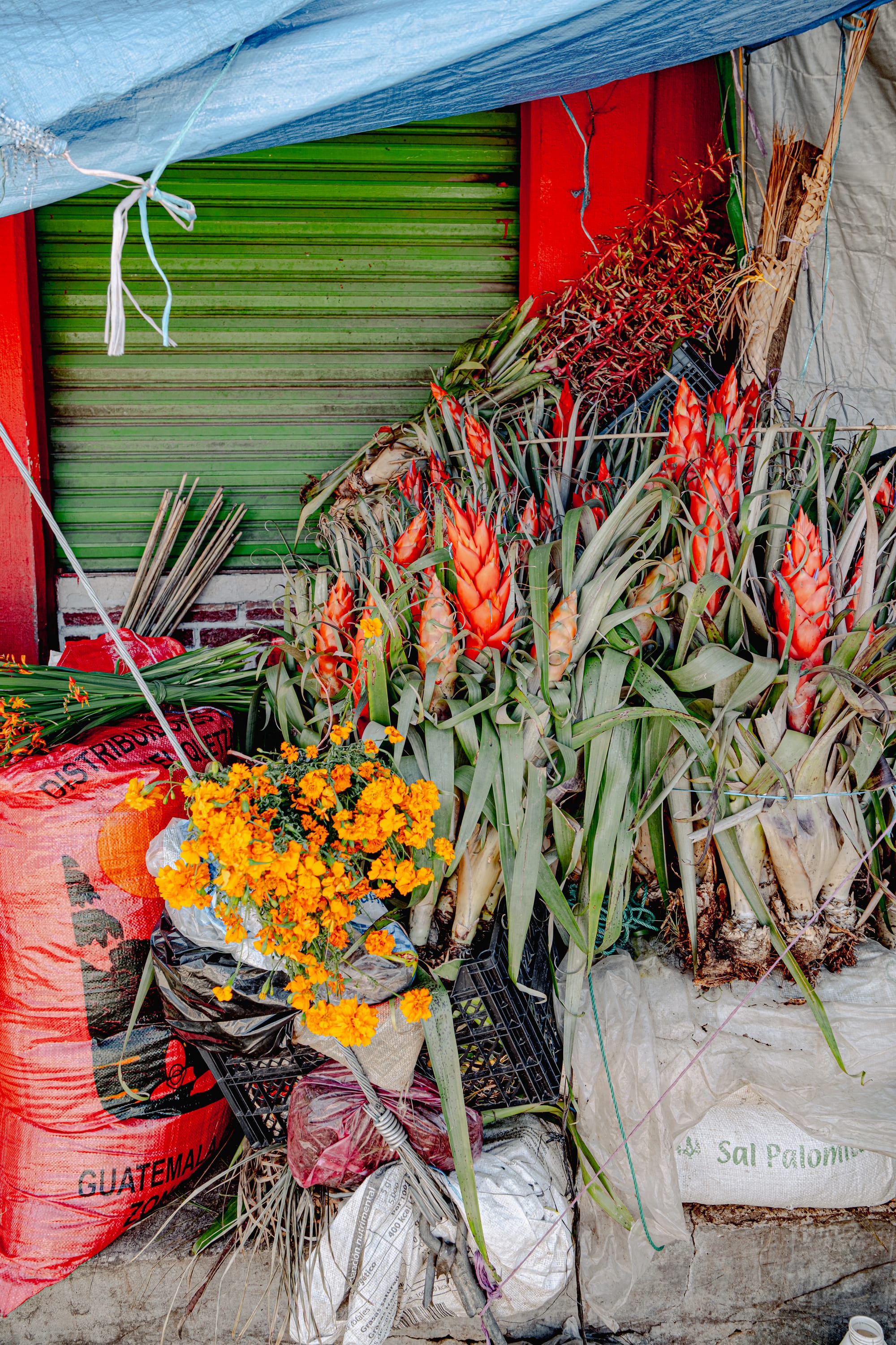 Santo Domingo Market: color, flavor, and daily life in San Cristóbal de las Casas