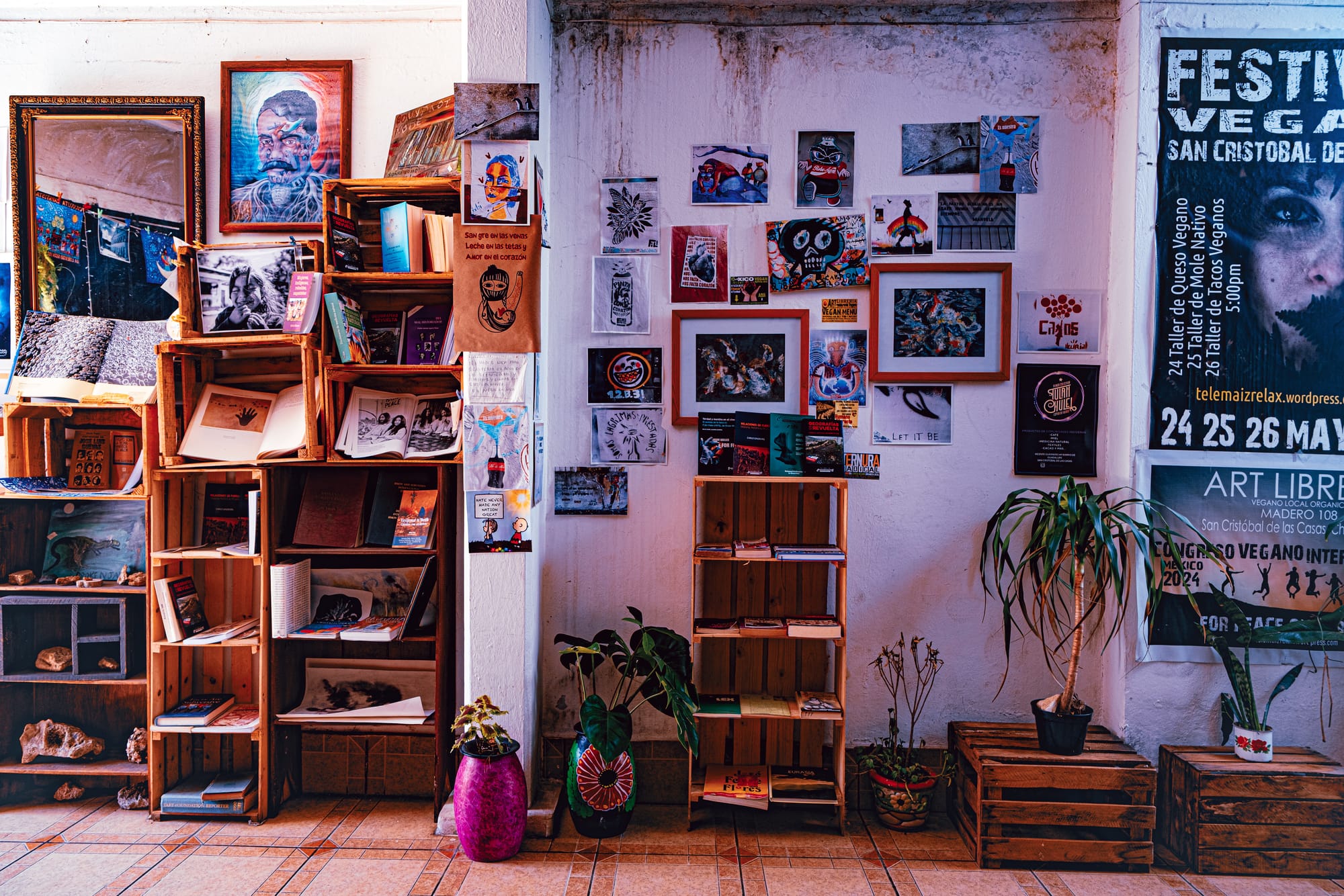 Bookshelves, artwork, and community posters inside Art Libreria in San Cristóbal de las Casas, showing its vegan cultural space filled with zines, local art, and handmade wooden shelves