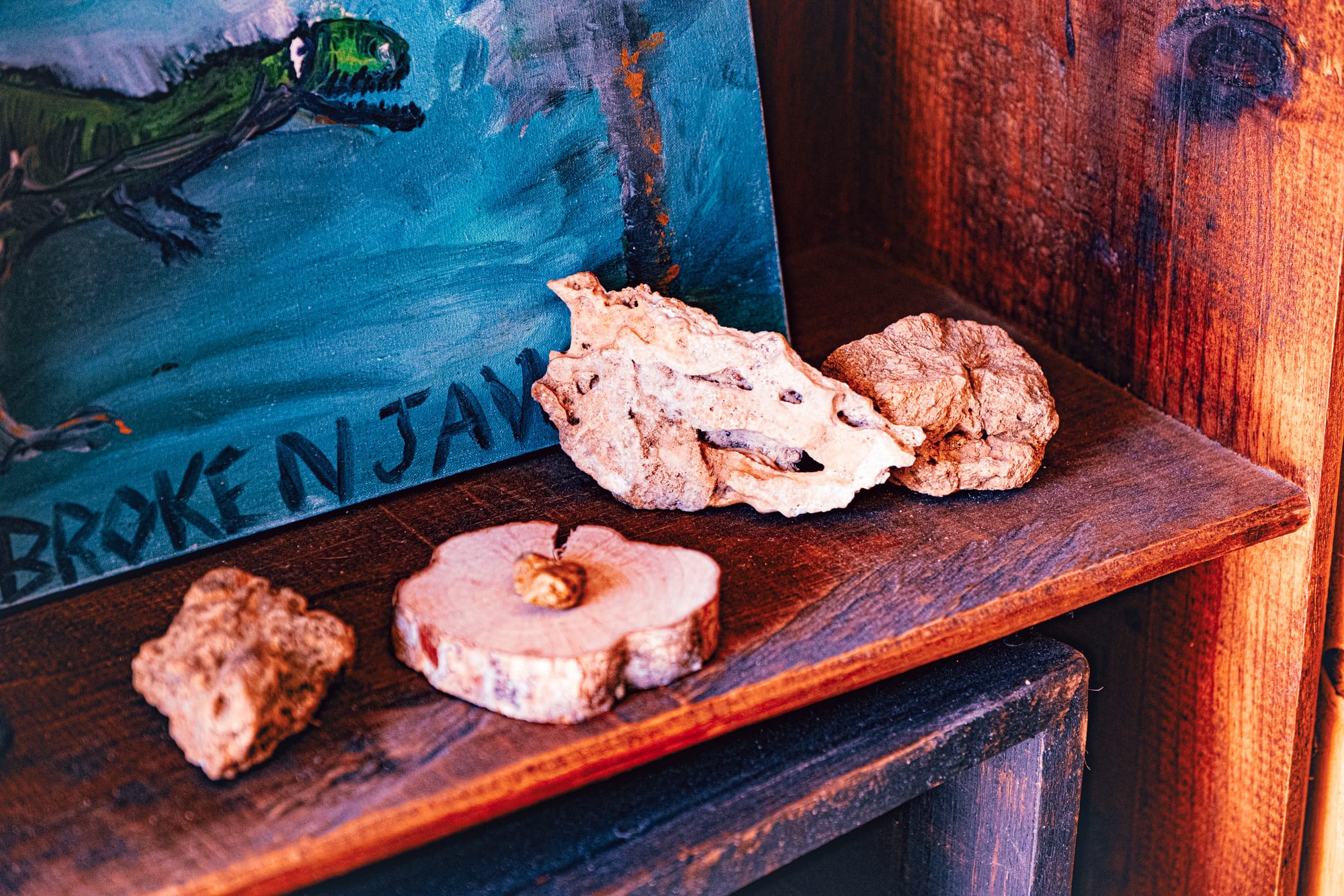 Small fossil-like rocks displayed on a wooden shelf at Art Libreria in San Cristóbal de las Casas, which Gerardo says are dinosaur fossils