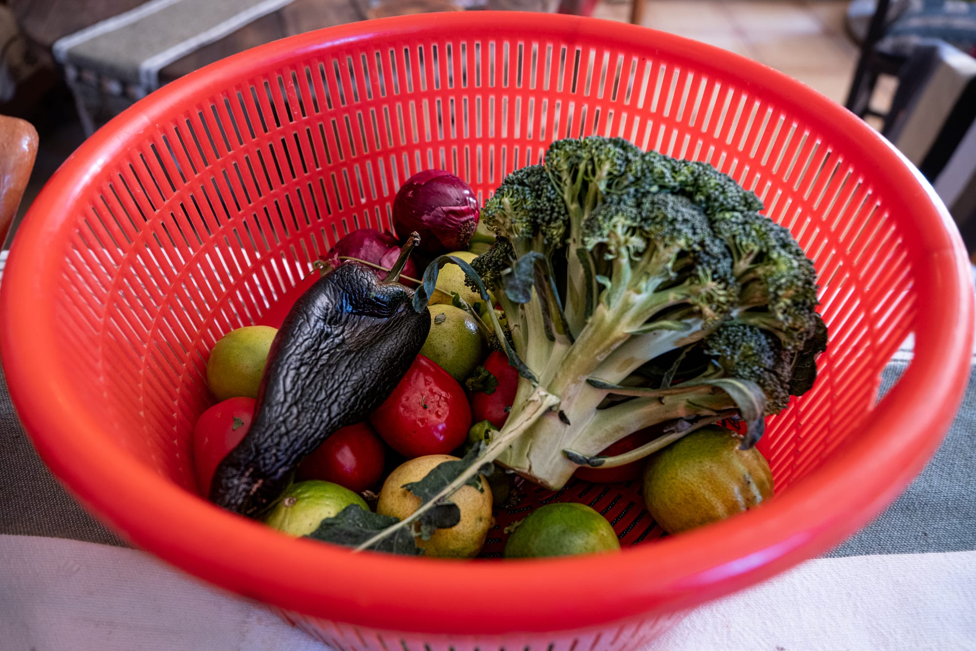 Fresh vegetables in a red colander at Art Libreria in San Cristóbal de las Casas, including a charred poblano pepper, broccoli, tomatoes, limes, and onions used for the vegan rajas con queso