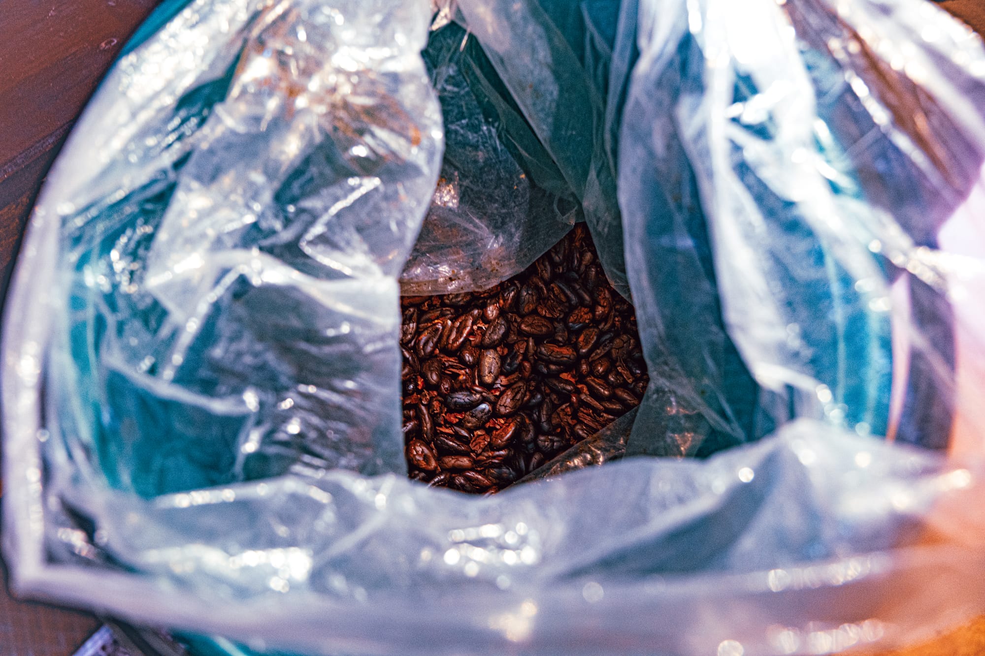 A bag of roasted and deshelled Chiapas cacao beans kept on hand for the cacao workshop in San Cristóbal de las Casas