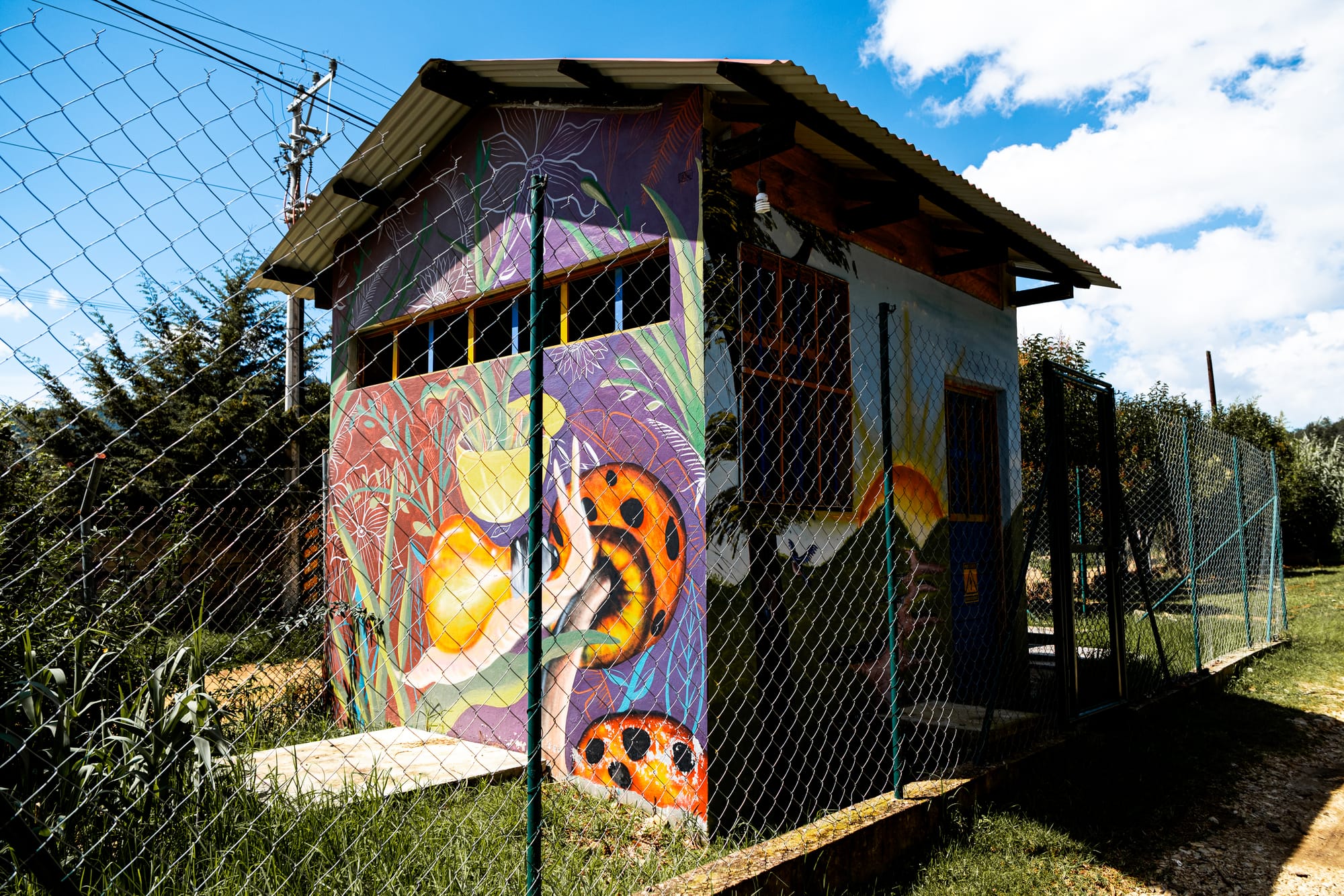 Small fenced building at CIDECI painted with a vibrant mural of snails, ladybugs, plants, and abstract nature motifs, set against a bright sky and surrounding greenery