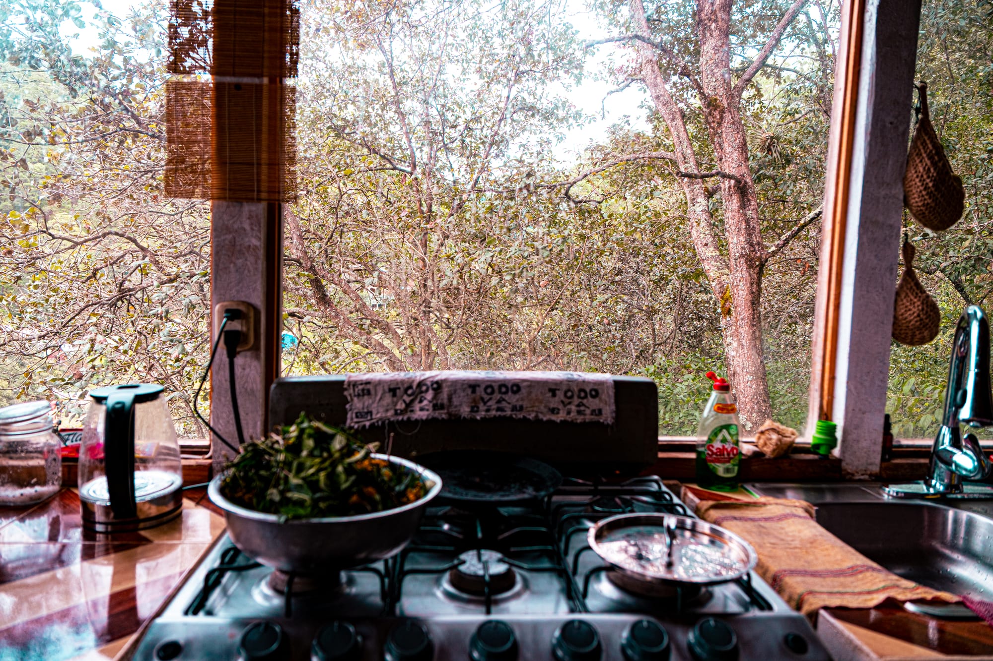 A bowl of fresh greens rests on a stovetop inside a simple mountain kitchen, with large windows opening to the trees outside