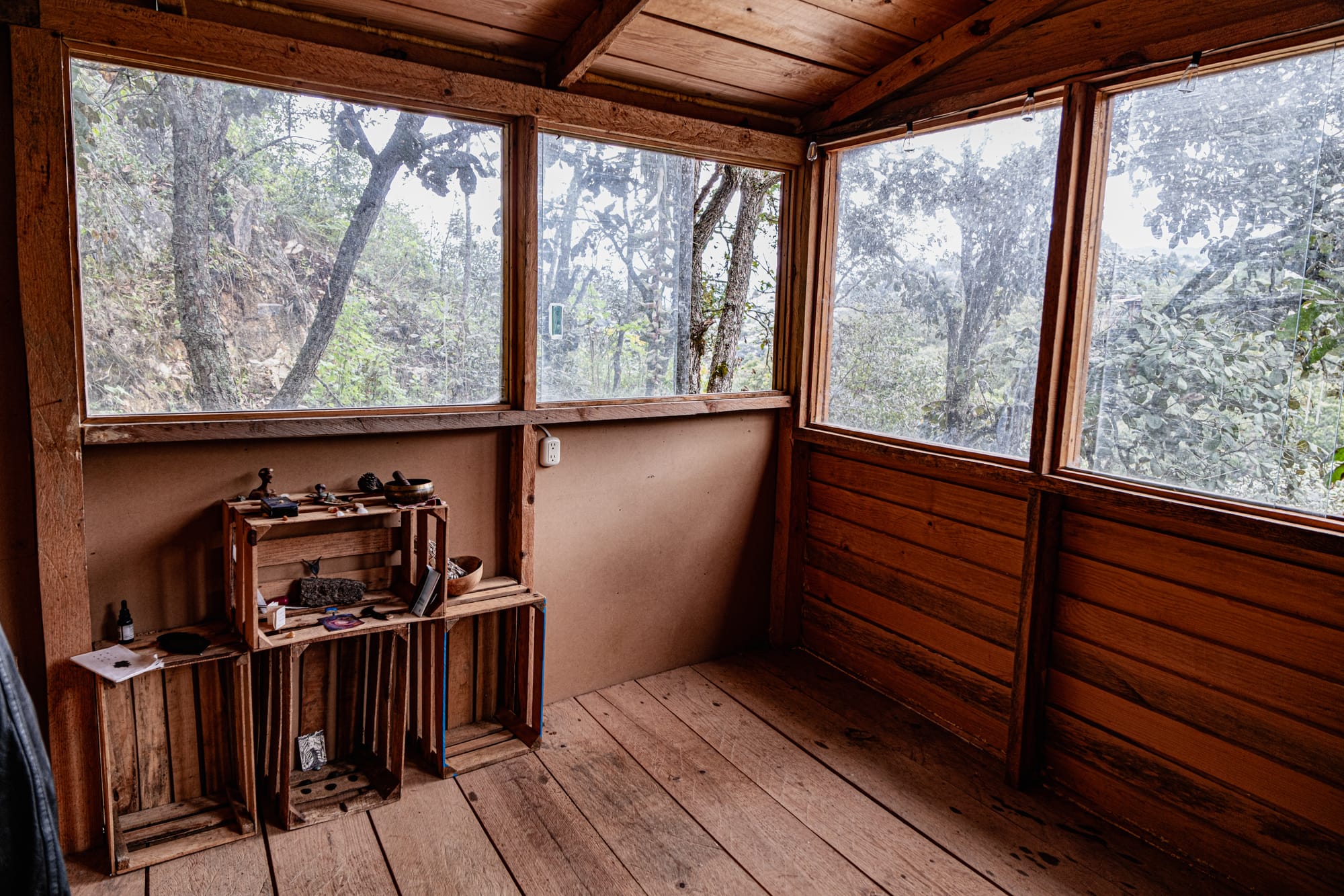 A small wooden room in Itzel’s mountain home, with large windows looking out onto the forest and a low shelf holding natural objects and handmade items