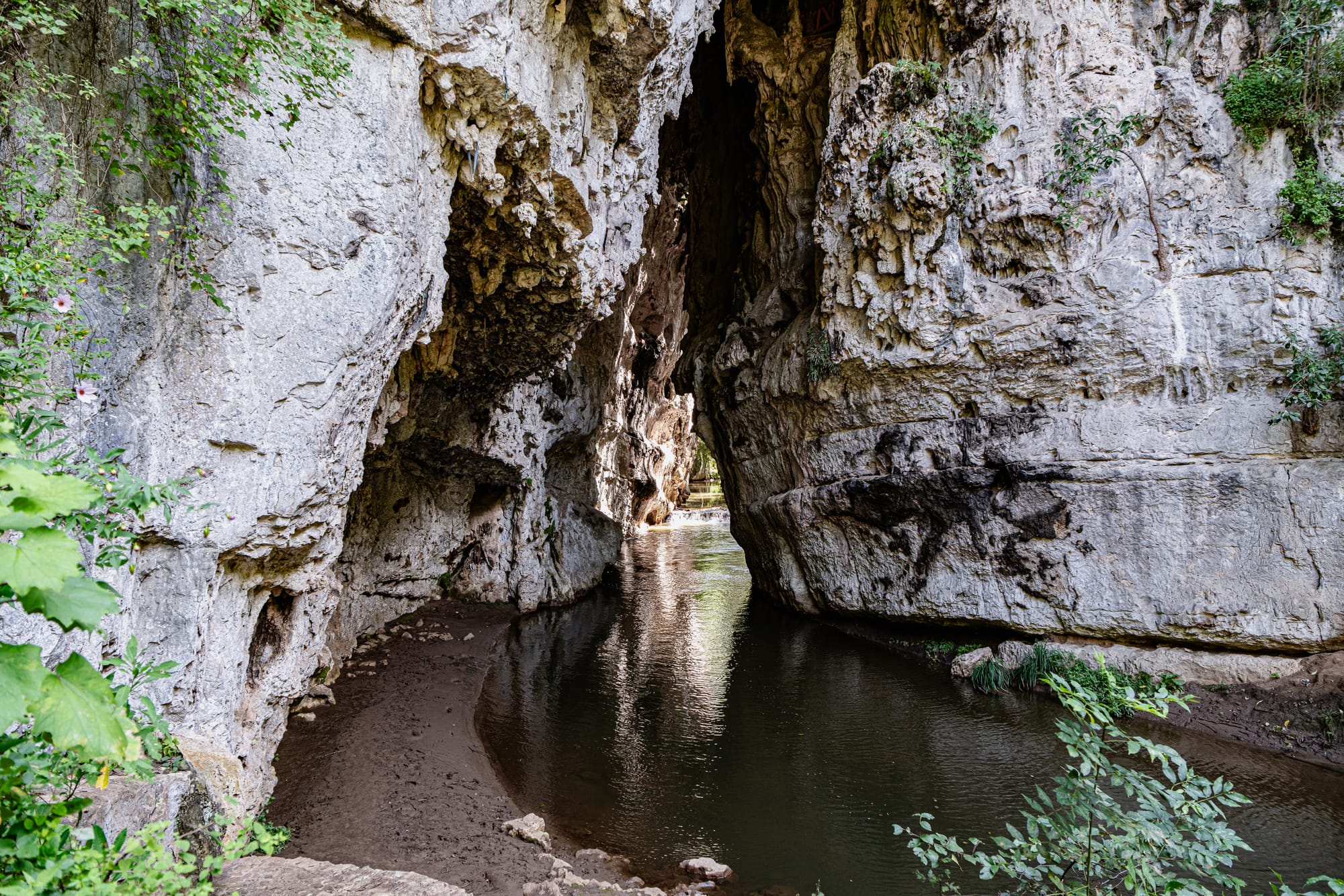 View of Río Fogótico flowing through the limestone arch at El Arcotete near San Cristóbal de las Casas, with rugged rock walls rising above the water