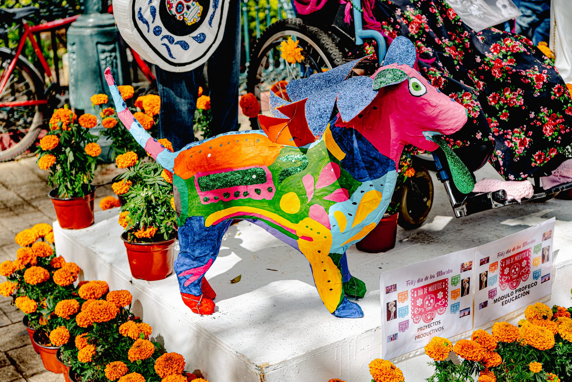 Colorful Day of the Dead skeleton sculpture in San Cristóbal de las Casas, Chiapas, Mexico, surrounded by marigold flowers in the main plaza, Día de Muertos public display with papel maché figure, local community celebration
