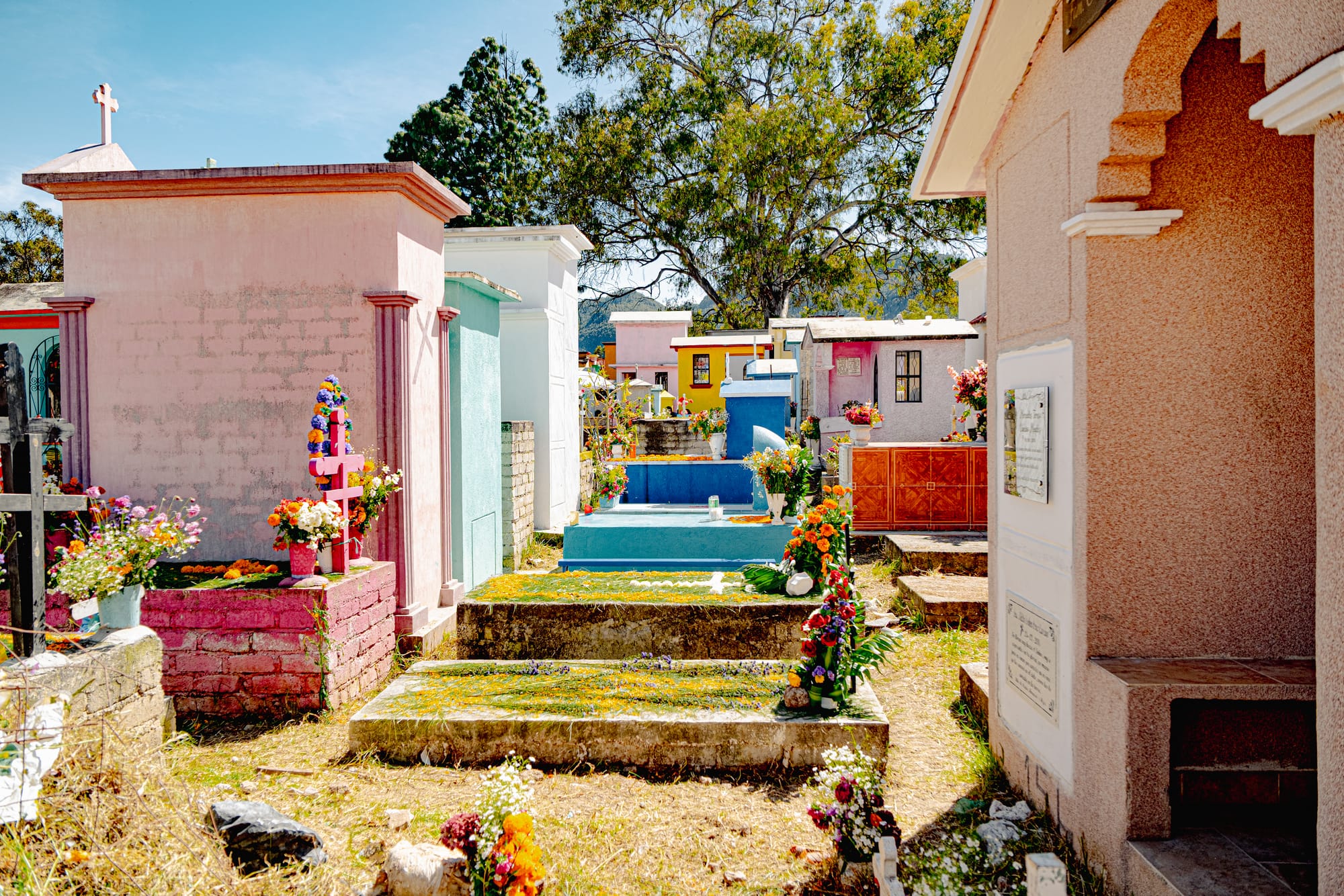Día de Muertos at San Cristóbal Municipal Pantheon in San Cristóbal de las Casas, Chiapas, Mexico, rows of colorful above ground tombs and small house like mausoleums, graves decorated with marigolds and flowers, city cemetery arranged like a neighborhood during Day of the Dead celebrations