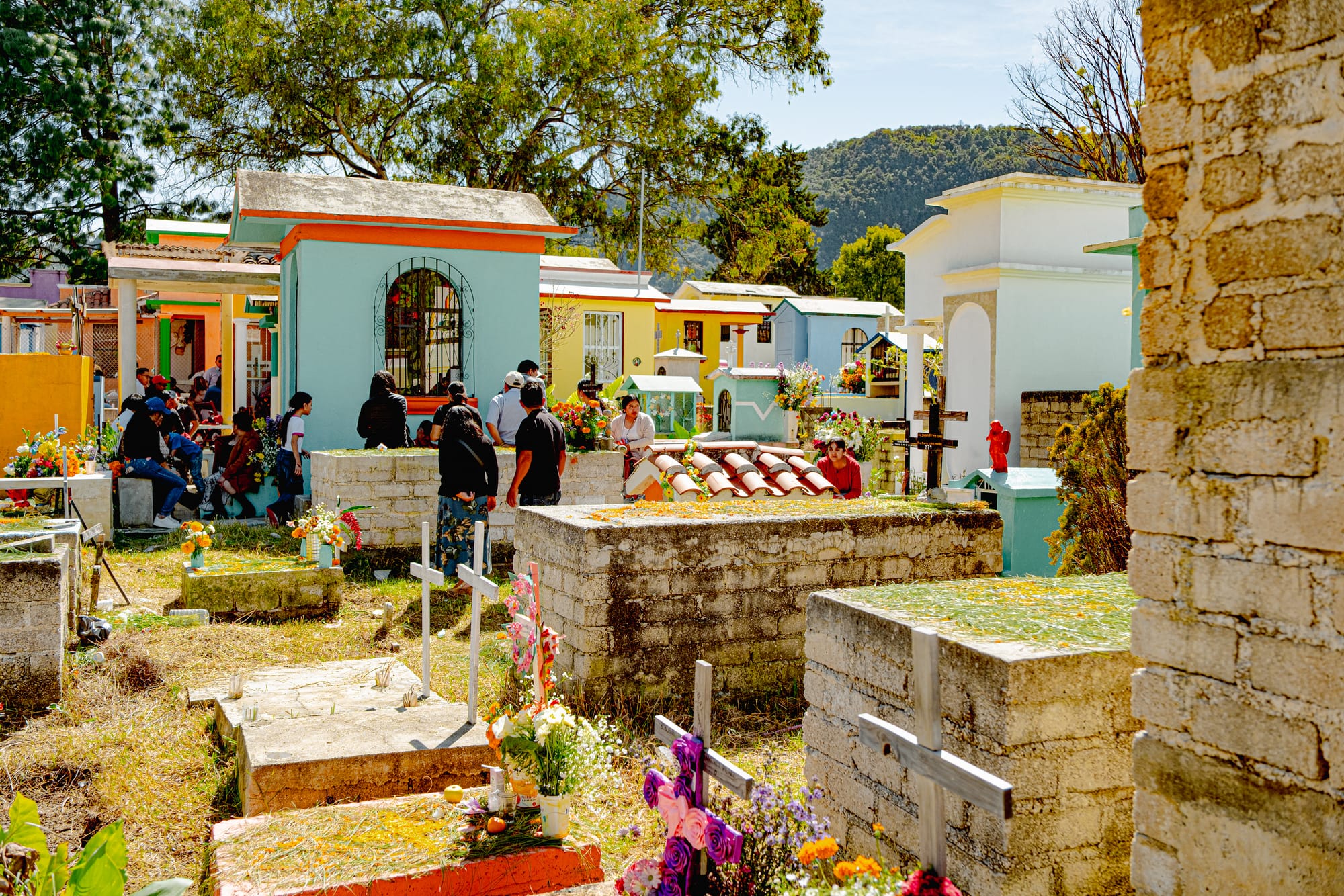 Día de Muertos at San Cristóbal Municipal Pantheon in San Cristóbal de las Casas, Chiapas, Mexico, families gathered among above ground graves and house like mausoleums, marigolds and pine needles covering tombs, people sitting and talking throughout the city cemetery during Day of the Dead