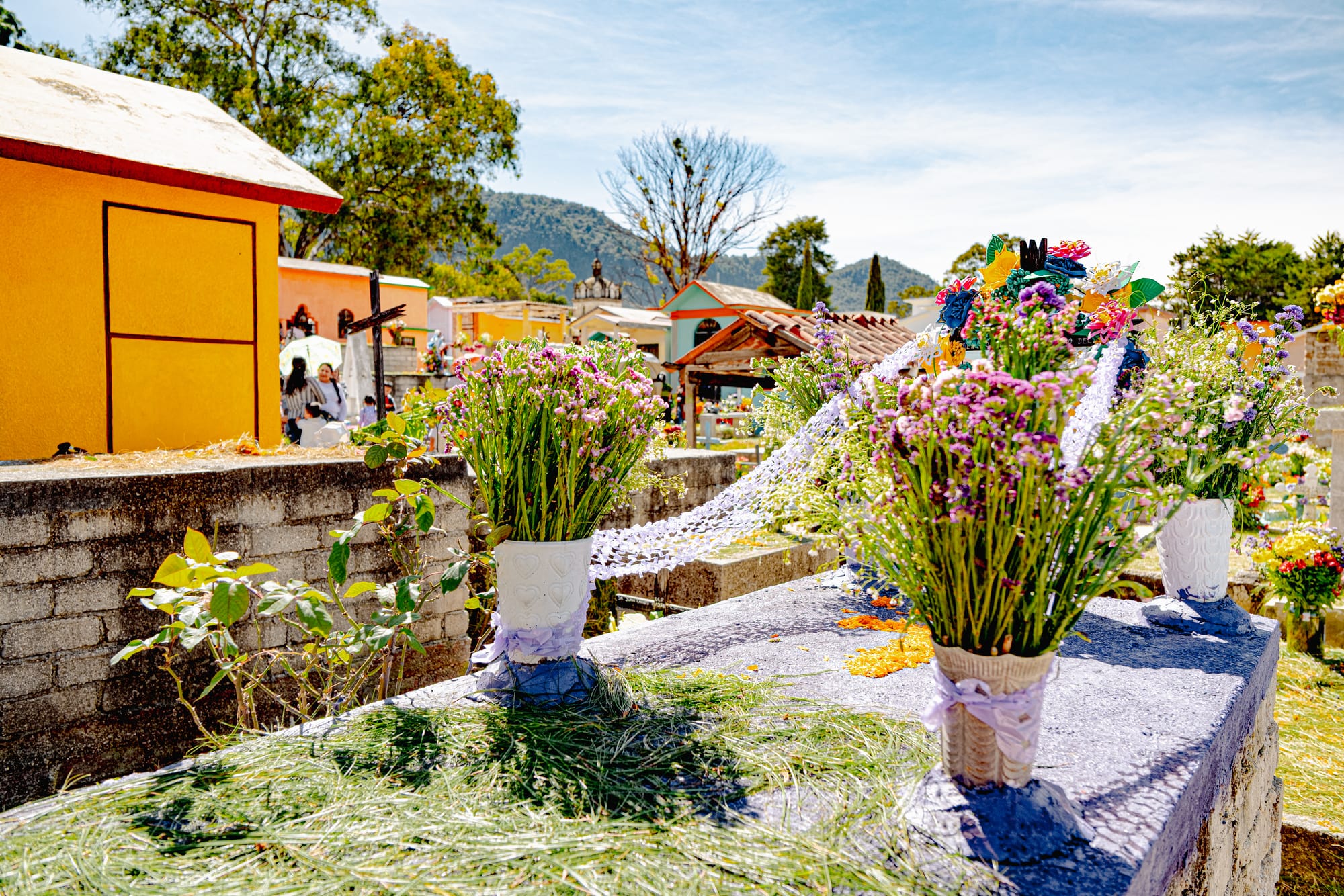 Día de Muertos at San Cristóbal Municipal Pantheon in San Cristóbal de las Casas, Chiapas, Mexico, above ground grave decorated with fresh flowers and pine needles, vases of purple and white flowers arranged on tomb, colorful cemetery architecture and mountain backdrop during Day of the Dead celebrations