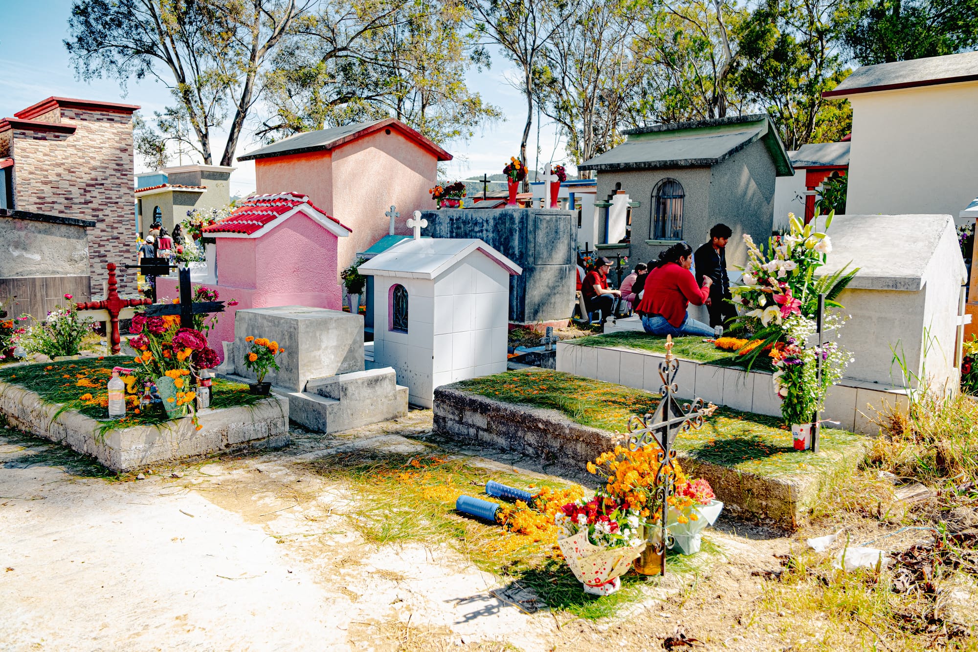 Día de Muertos at San Cristóbal Municipal Pantheon in San Cristóbal de las Casas, Chiapas, Mexico, families sitting beside above ground graves and house like mausoleums, marigolds and pine needles covering tombs, people spending the day together in the city cemetery during Day of the Dead celebrations