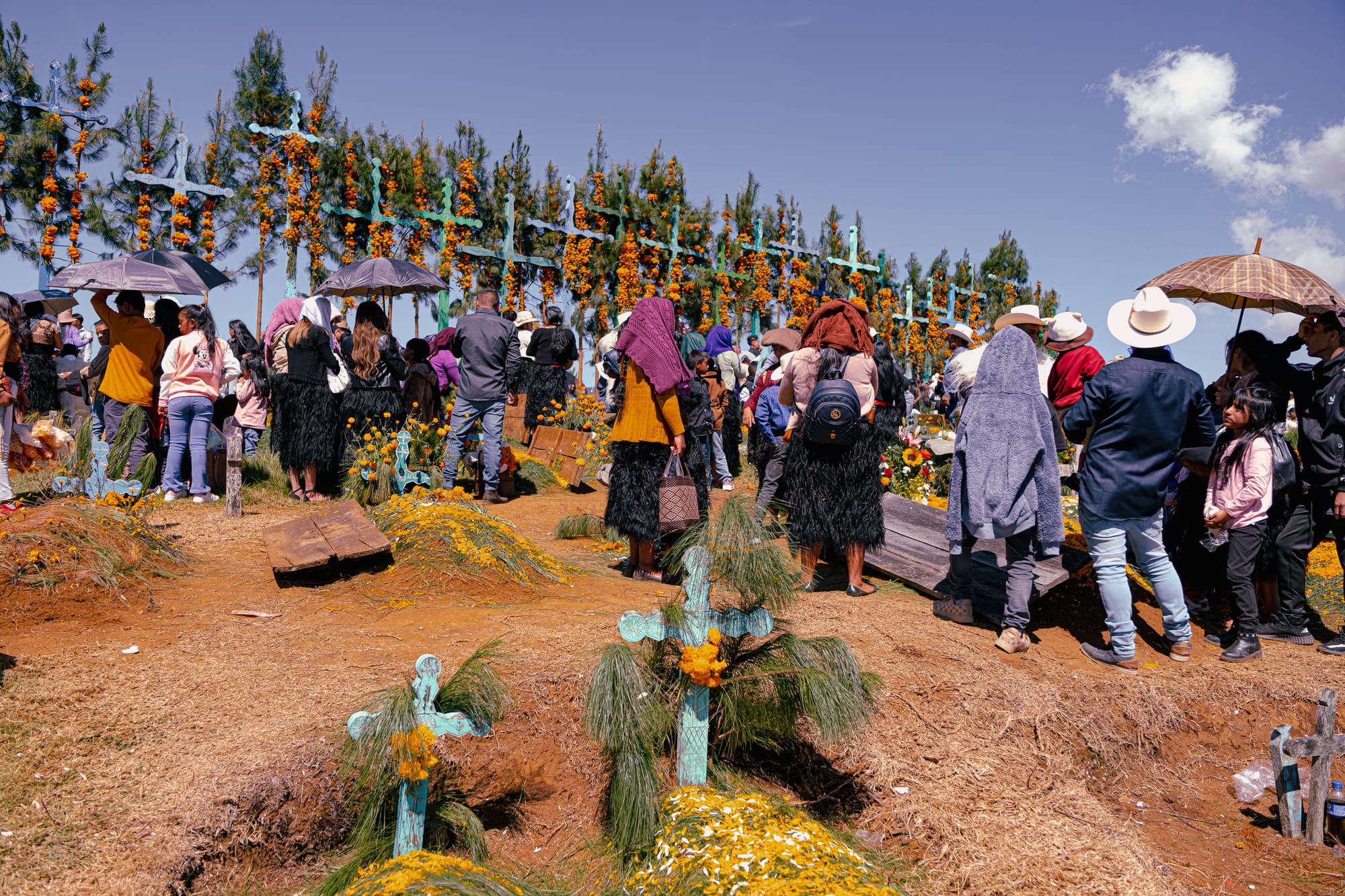 Día de Muertos at Romerillo Cemetery Chiapas, large indigenous community gathered beneath tall crosses wrapped with marigolds and pine branches, families wearing traditional wool clothing and shawls standing among pine covered graves, crowded hilltop cemetery during Day of the Dead celebrations near San Cristóbal de las Casas