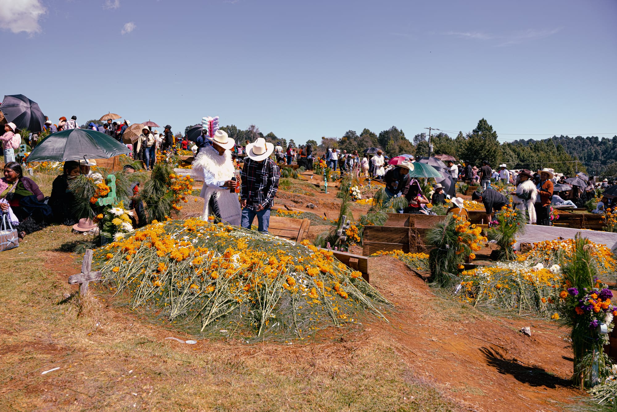 Día de Muertos at Romerillo Cemetery Chiapas, crowded hilltop cemetery with pine covered graves and marigold decorated mounds, families standing and sitting together around shallow tombs, people wearing hats and traditional Indigenous clothing, communal Day of the Dead celebration near San Cristóbal de las Casas with festival energy and local presence