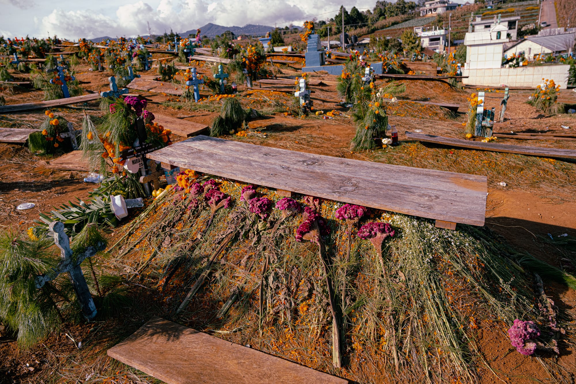 Día de Muertos at Romerillo Cemetery Chiapas, close view of pine covered grave with wooden boards and marigold petals, simple hilltop tomb decorated with flowers and offerings, indigenous Day of the Dead burial traditions using pine needles and cempasúchil, Romerillo Cemetery near San Cristóbal de las Casas after the main celebration
