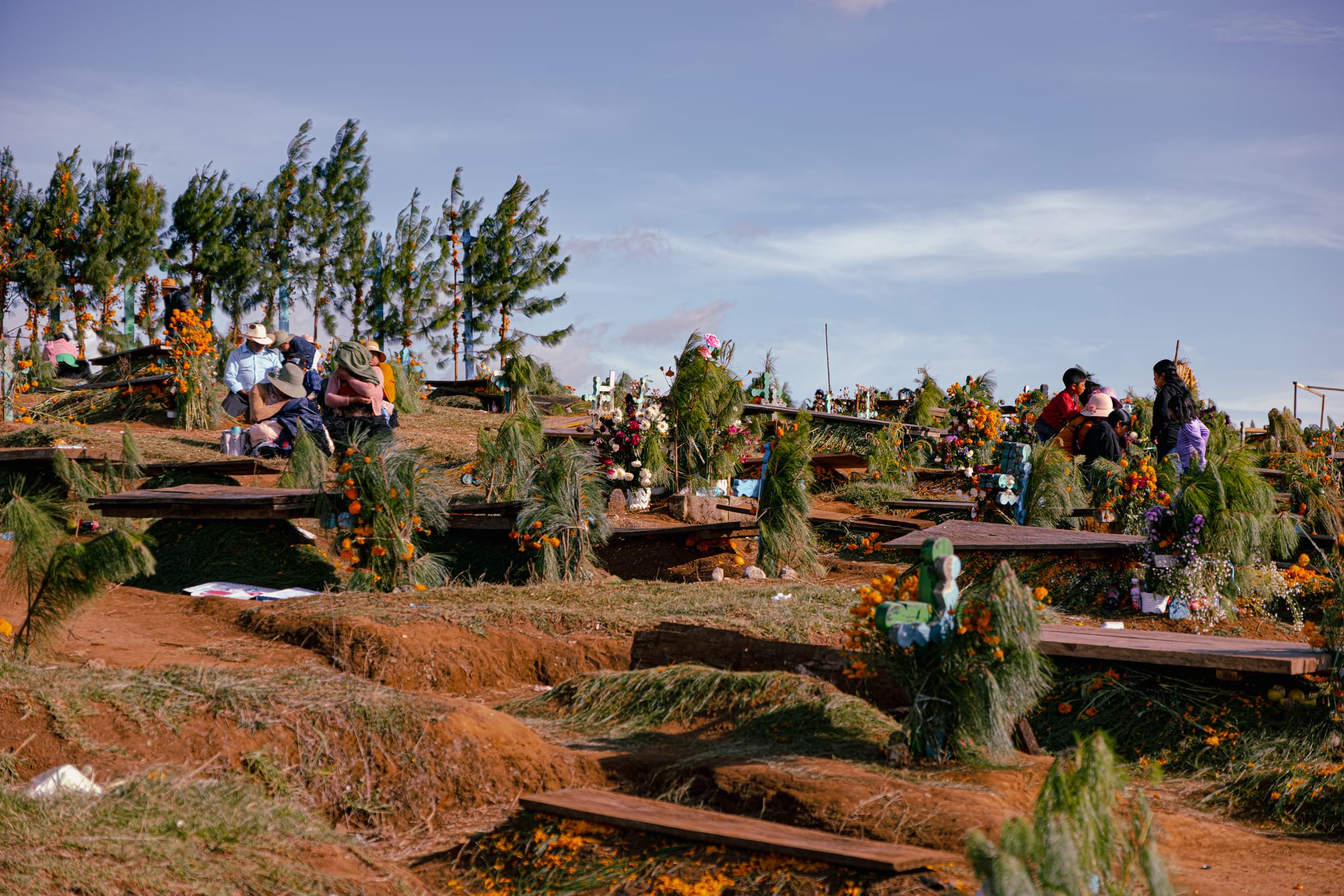 Día de Muertos at Romerillo Cemetery Chiapas, hilltop cemetery covered with pine branches and marigolds, families sitting and spending time beside simple wooden graves, shallow tombs arranged across uneven ground, indigenous Day of the Dead burial traditions with communal gathering near San Cristóbal de las Casas