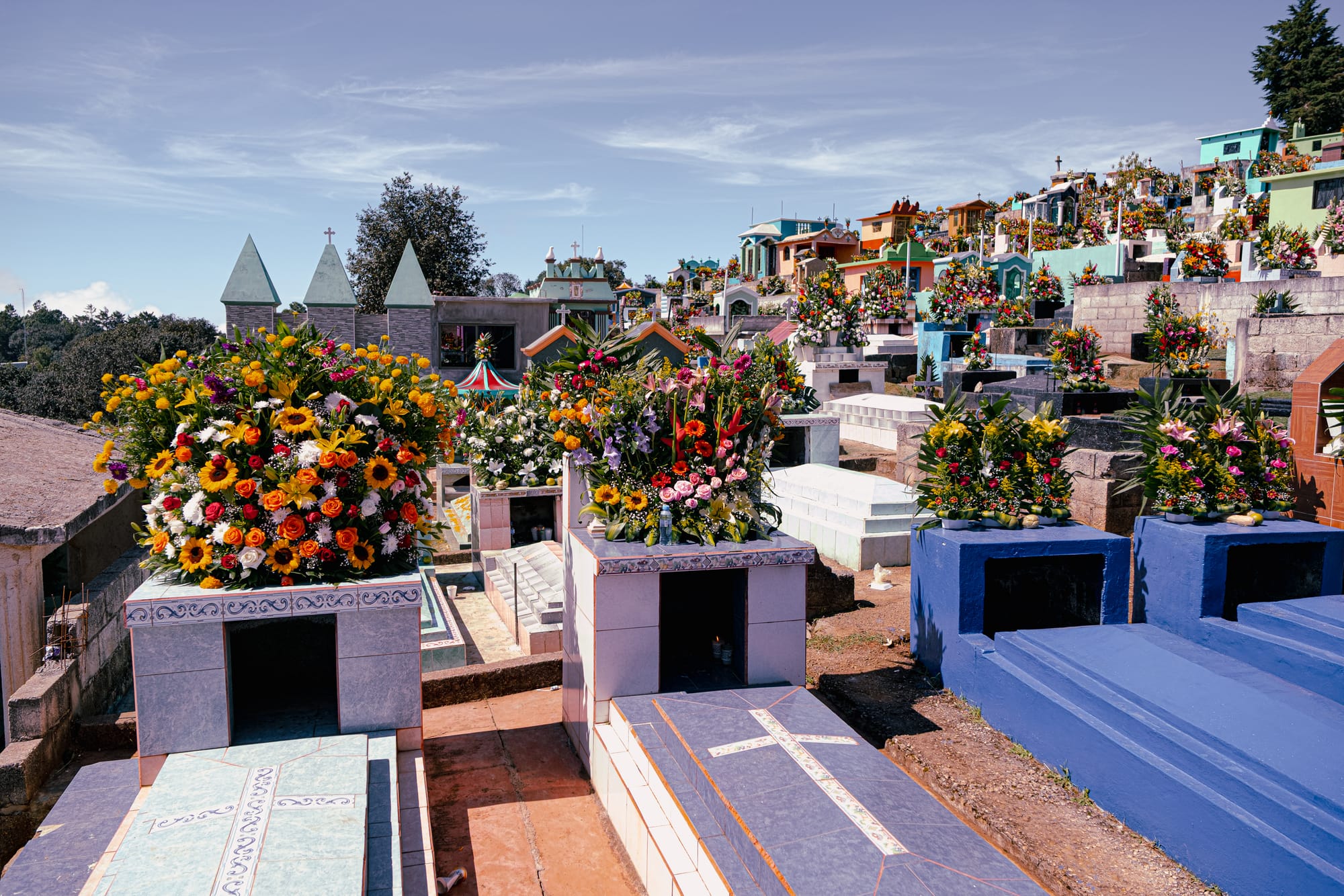 Día de Muertos at Zinacantán Cemetery in Zinacantán, Chiapas, Mexico, above ground graves covered with dense floral arrangements, colorful tombs arranged across a hillside cemetery, elaborate flower displays shaped by local flower cultivation, panoramic mountain setting during Day of the Dead near San Cristóbal de las Casas
