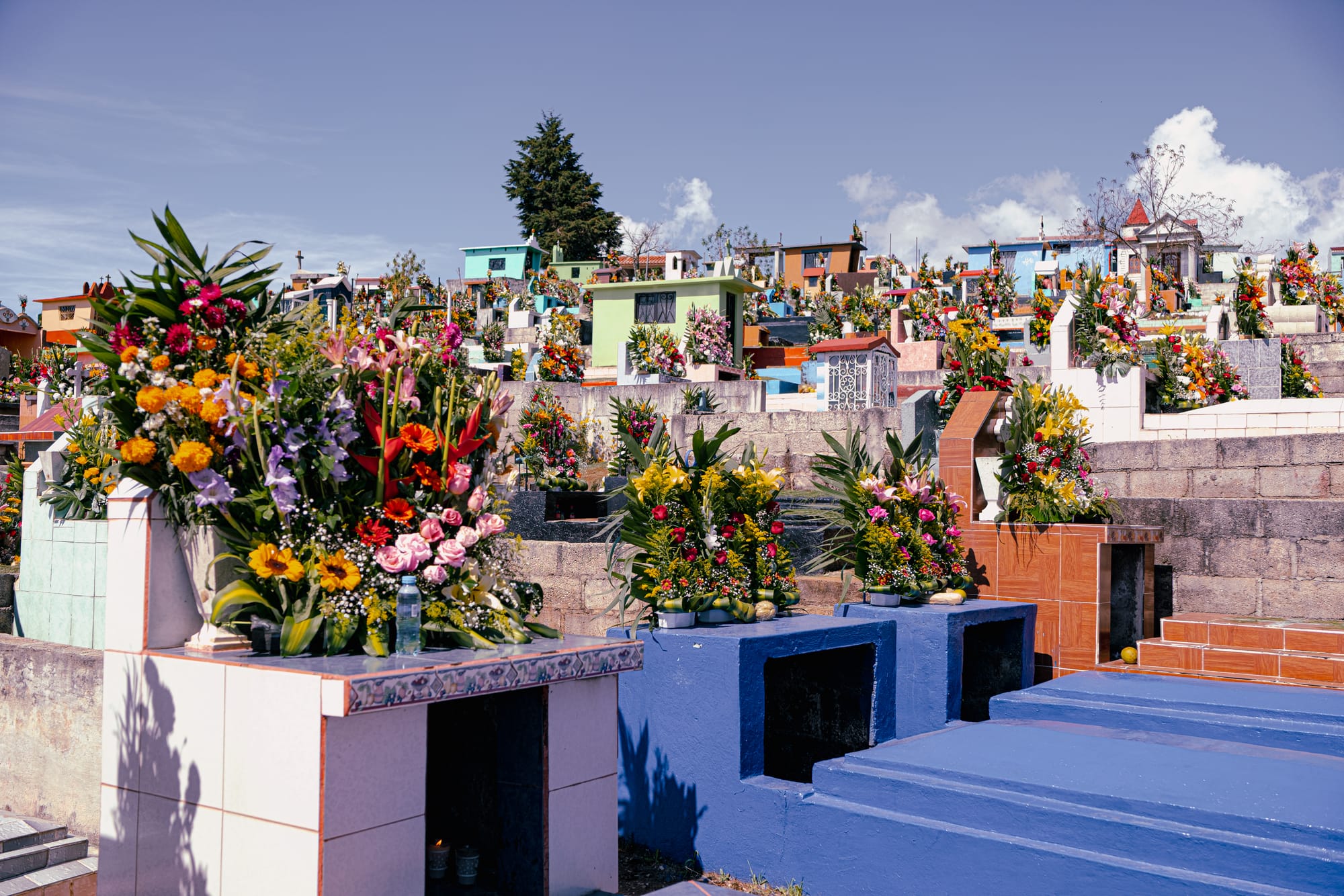 Día de Muertos at Zinacantán Cemetery in Zinacantán, Chiapas, Mexico, elaborate floral arrangements covering above ground graves, dense flower displays shaped by local flower cultivation, colorful hillside cemetery with layered tombs and mountain backdrop during Day of the Dead
