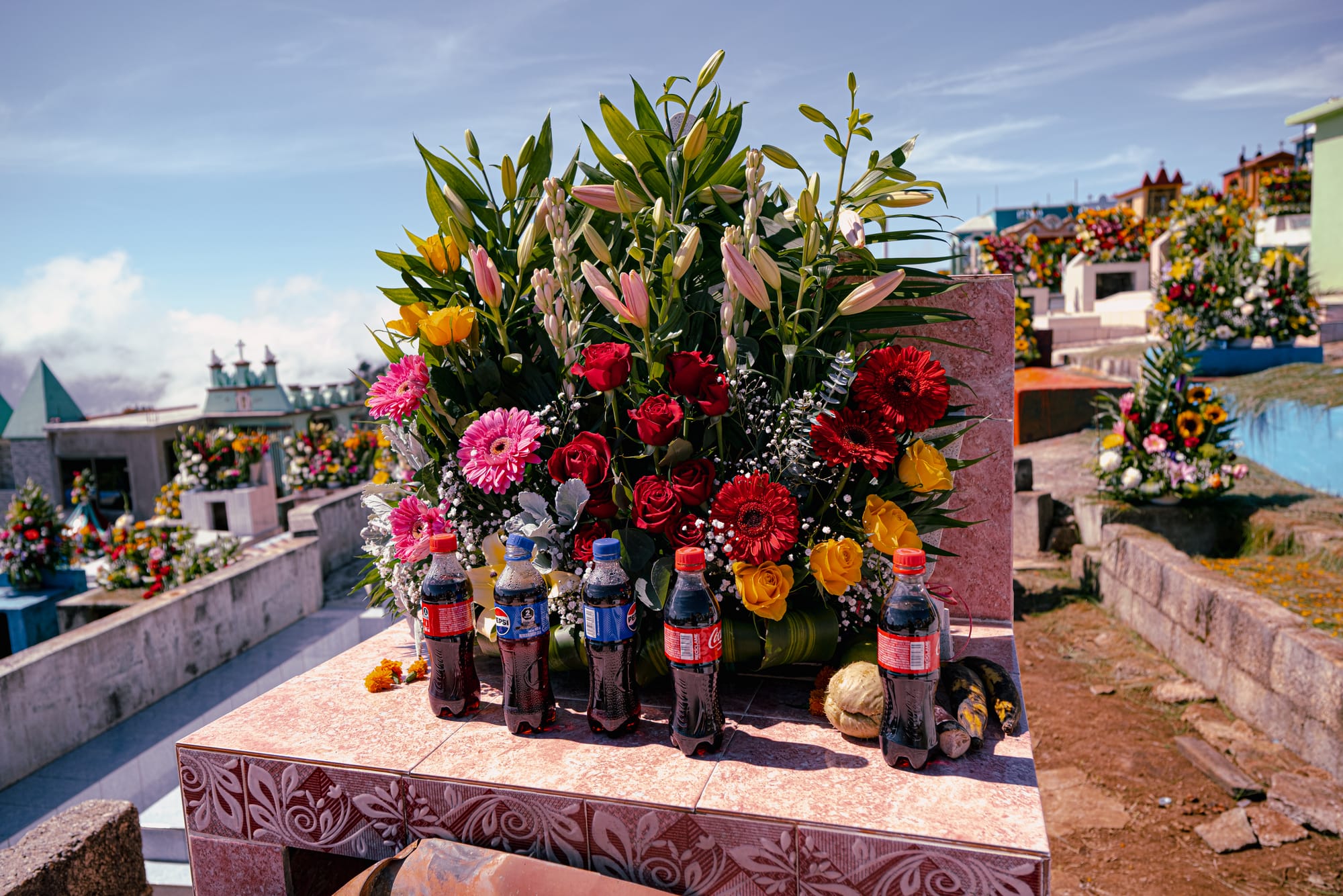 Día de Muertos at Zinacantán Cemetery in Zinacantán, Chiapas, Mexico, elaborate floral arrangement with roses lilies sunflowers and marigolds placed on above ground grave, bottles of Coca Cola and food offerings set at the tomb, hillside cemetery with mountain views reflecting local flower cultivation and Day of the Dead traditions near San Cristóbal de las Casas