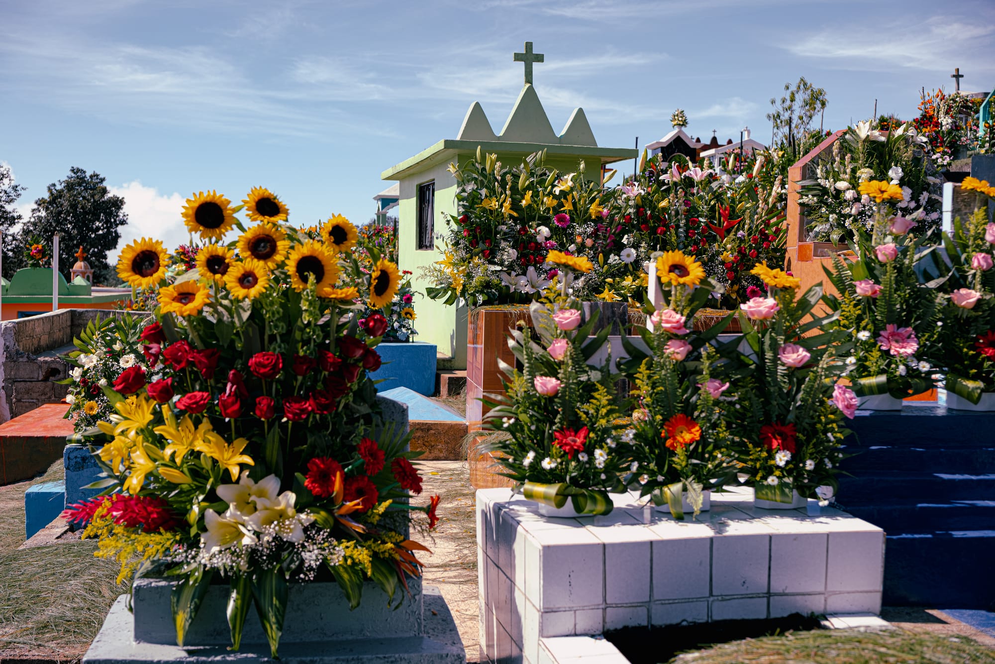 Día de Muertos at Zinacantán Cemetery in Zinacantán, Chiapas, Mexico, above ground graves covered with sunflower rose lily and marigold arrangements, dense floral offerings placed on tiled tombs, hillside cemetery with layered graves and mountain backdrop during Day of the Dead near San Cristóbal de las Casas