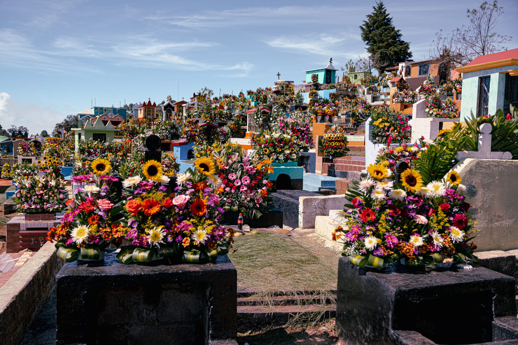 Día de Muertos at Zinacantán Cemetery in Zinacantán, Chiapas, Mexico, wide view of hillside cemetery filled with above ground graves and dense floral arrangements, colorful tombs covered in marigolds sunflowers roses and mixed flowers, layered mountain cemetery shaped by local flower cultivation near San Cristóbal de las Casas