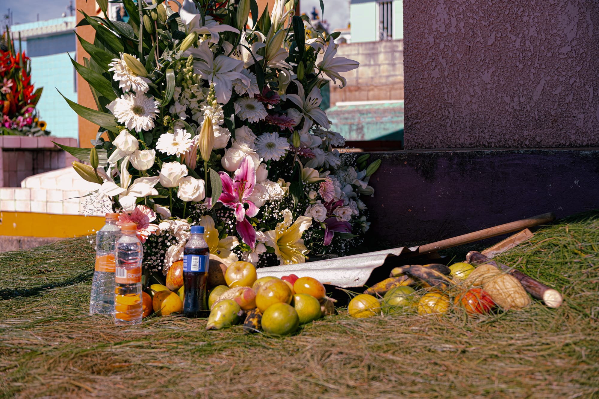 Día de Muertos at Zinacantán Cemetery in Zinacantán, Chiapas, Mexico, food offerings placed on an above ground grave including fruit bread sugarcane and bottles of soda, elaborate white floral arrangement with lilies and roses, pine needles covering the tomb as part of Day of the Dead traditions near San Cristóbal de las Casas