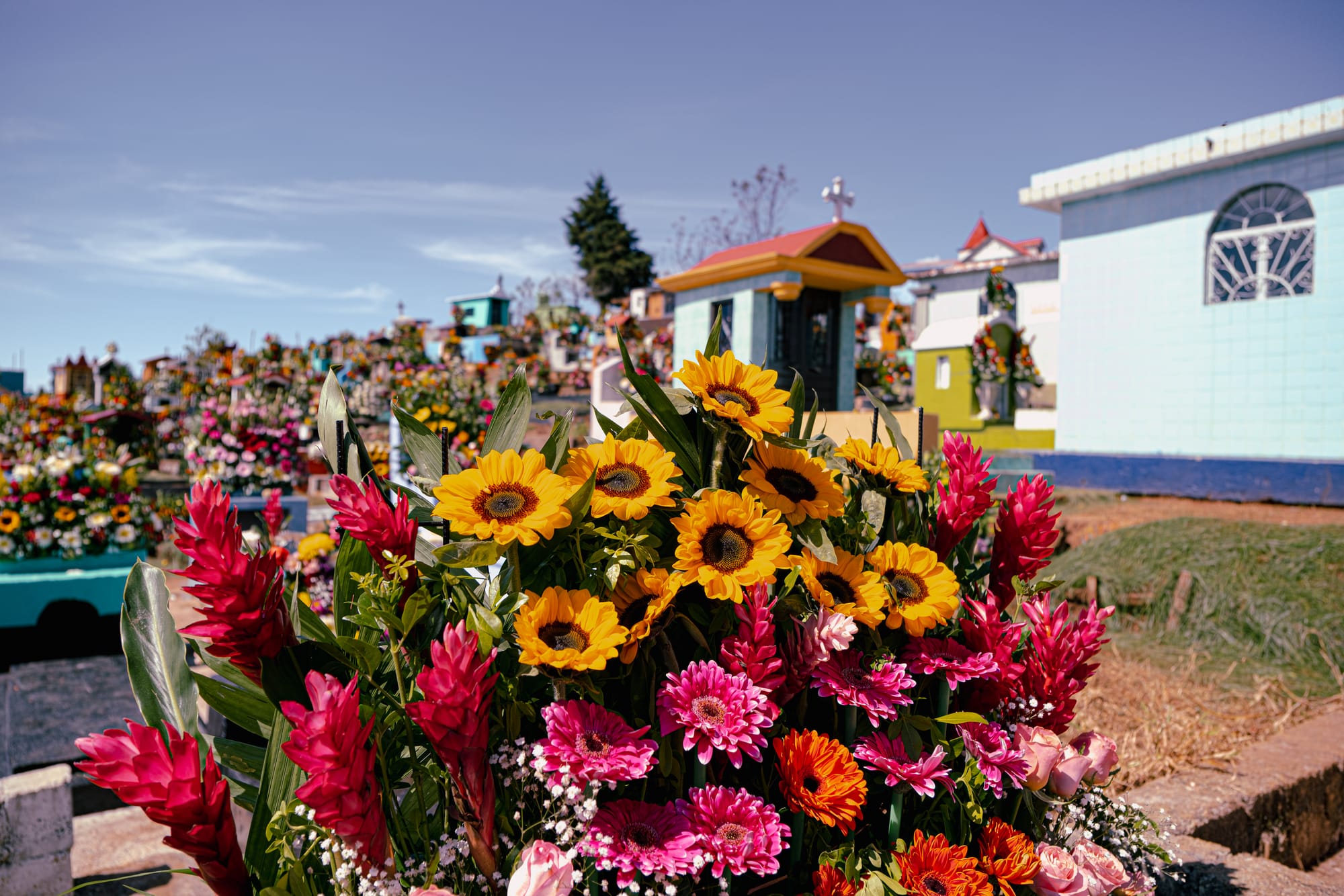 Día de Muertos at Zinacantán Cemetery in Zinacantán, Chiapas, Mexico, close up of sunflower marigold and tropical flower arrangement on above ground grave, colorful hillside cemetery filled with floral offerings, mountain views and dense flower displays during Day of the Dead near San Cristóbal de las Casas