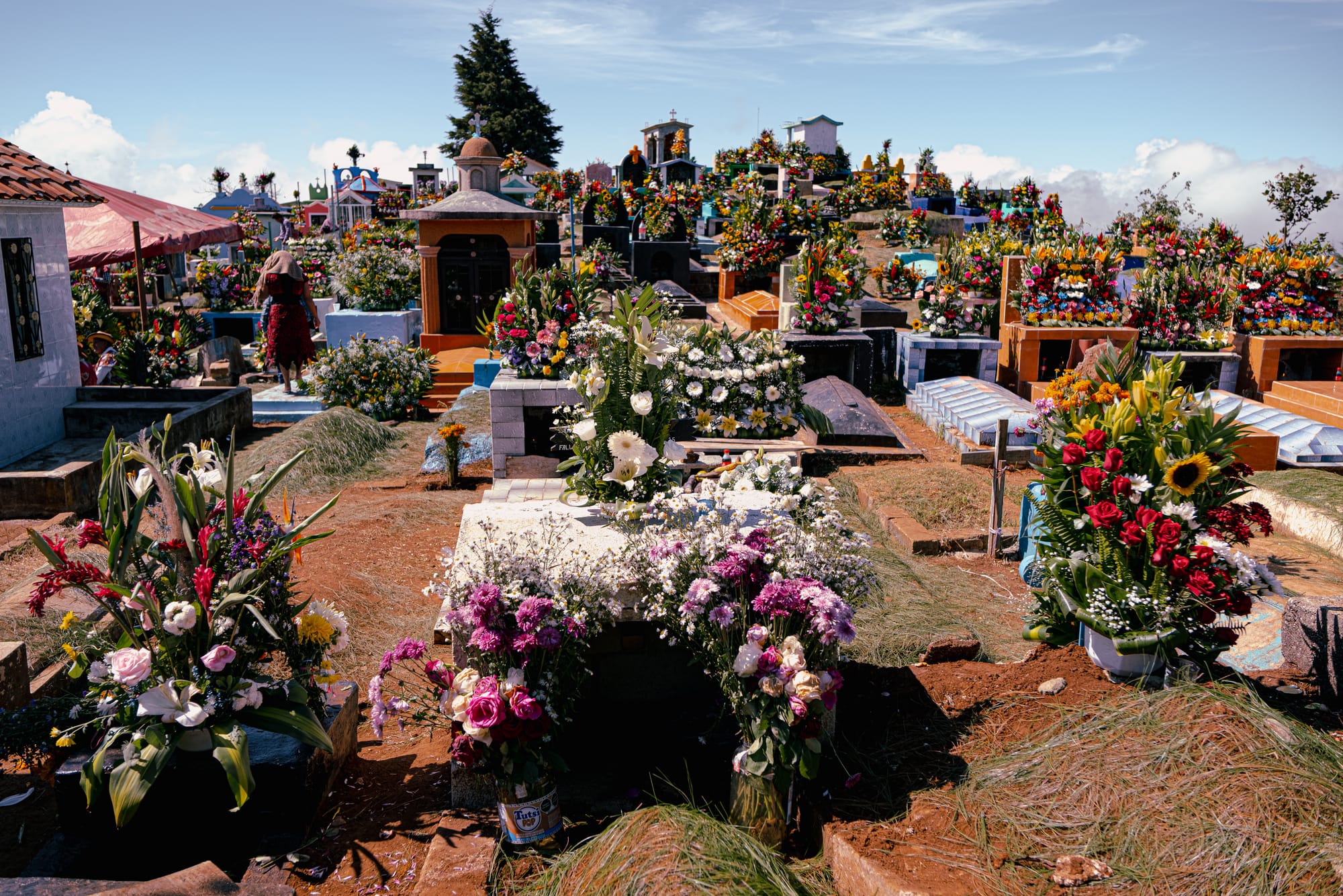 Día de Muertos at Zinacantán Cemetery in Zinacantán, Chiapas, Mexico, wide view of hillside cemetery filled with above ground graves and elaborate floral arrangements, dense rows of colorful tombs covered with marigolds sunflowers roses and mixed flowers, mountain landscape and clouds surrounding the cemetery during Day of the Dead near San Cristóbal de las Casas
