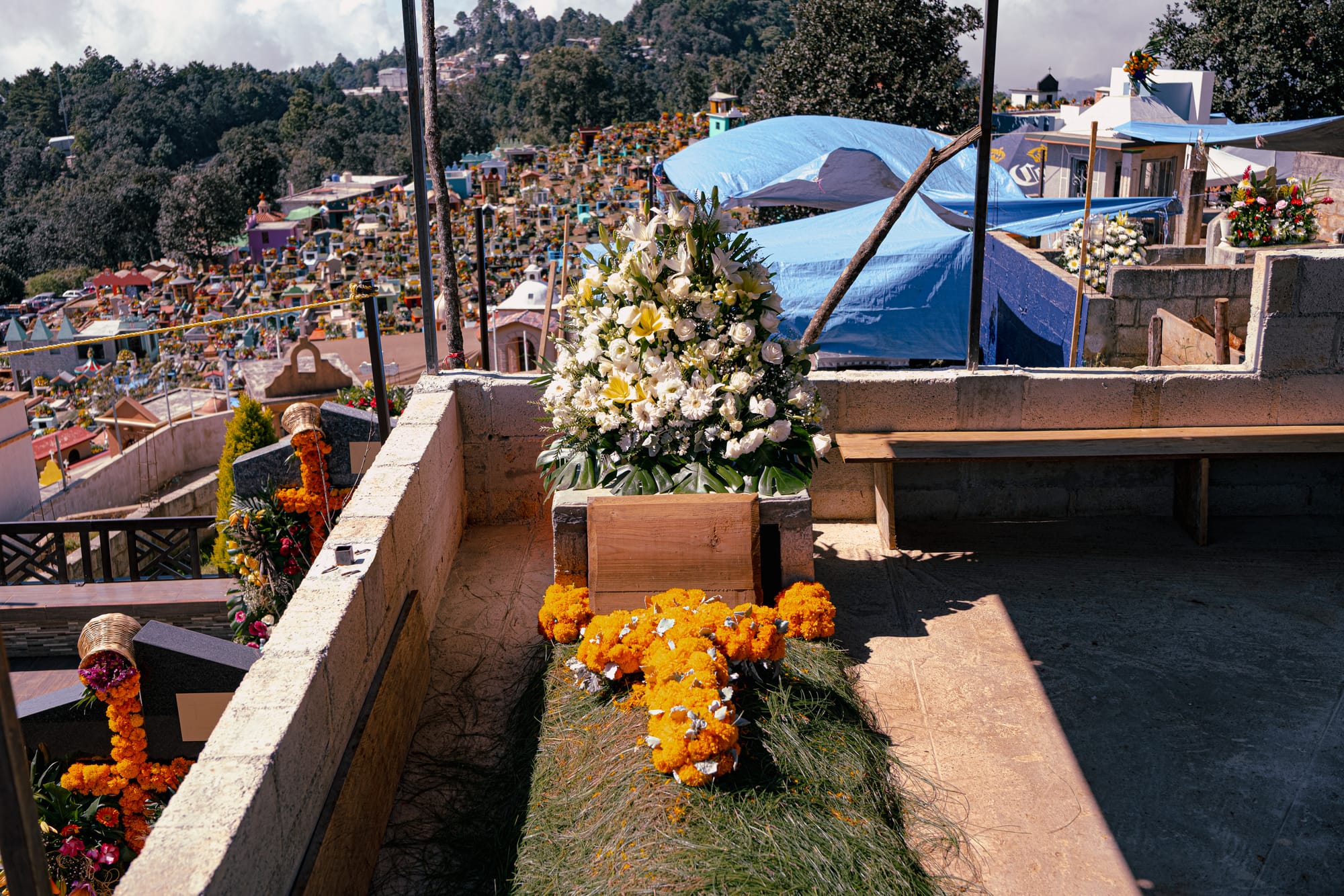 Día de Muertos at Zinacantán Cemetery in Zinacantán, Chiapas, Mexico, above ground grave covered with pine needles and marigold cross, white floral arrangement placed at the head of the tomb, hillside cemetery with mountain views and colorful graves visible below during Day of the Dead near San Cristóbal de las Casas