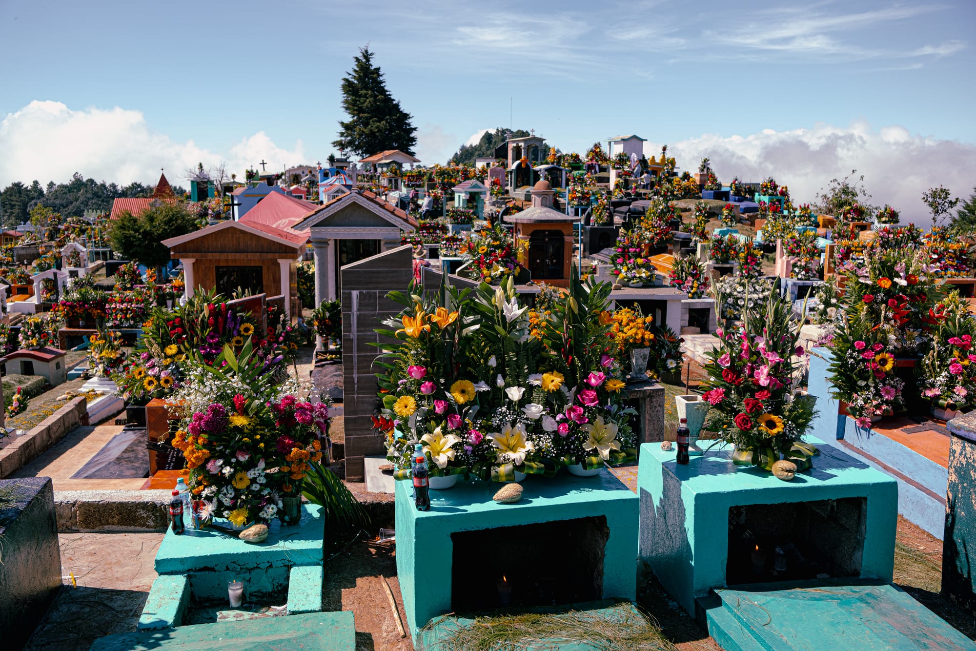 Día de Muertos at Zinacantán Cemetery in Zinacantán, Chiapas, Mexico, above ground graves topped with elaborate floral arrangements and food offerings, rows of colorful tombs covered in marigolds sunflowers roses and mixed flowers, hillside cemetery filled with flowers and small mausoleums overlooking the mountains near San Cristóbal de las Casas